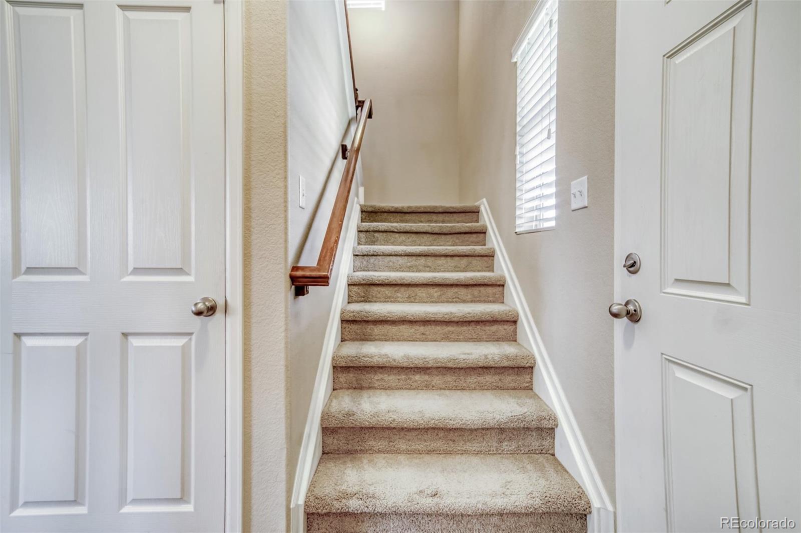 CMA Image for 3810  CADENCE Drive,Castle Rock, Colorado