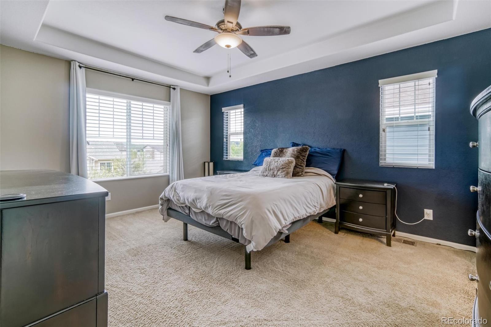 MLS Image #15 for 3810  cadence drive,castle rock, Colorado