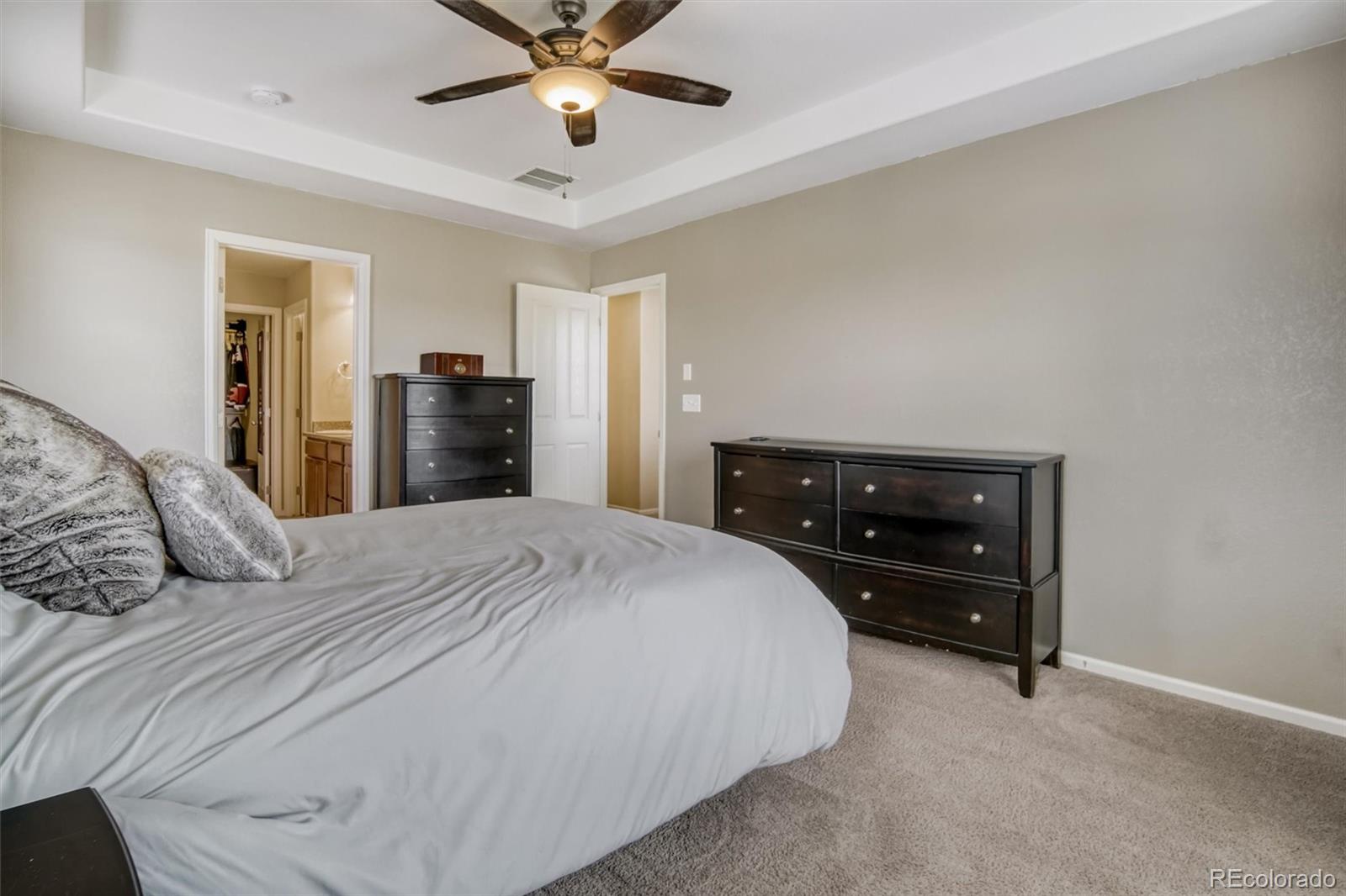 MLS Image #17 for 3810  cadence drive,castle rock, Colorado