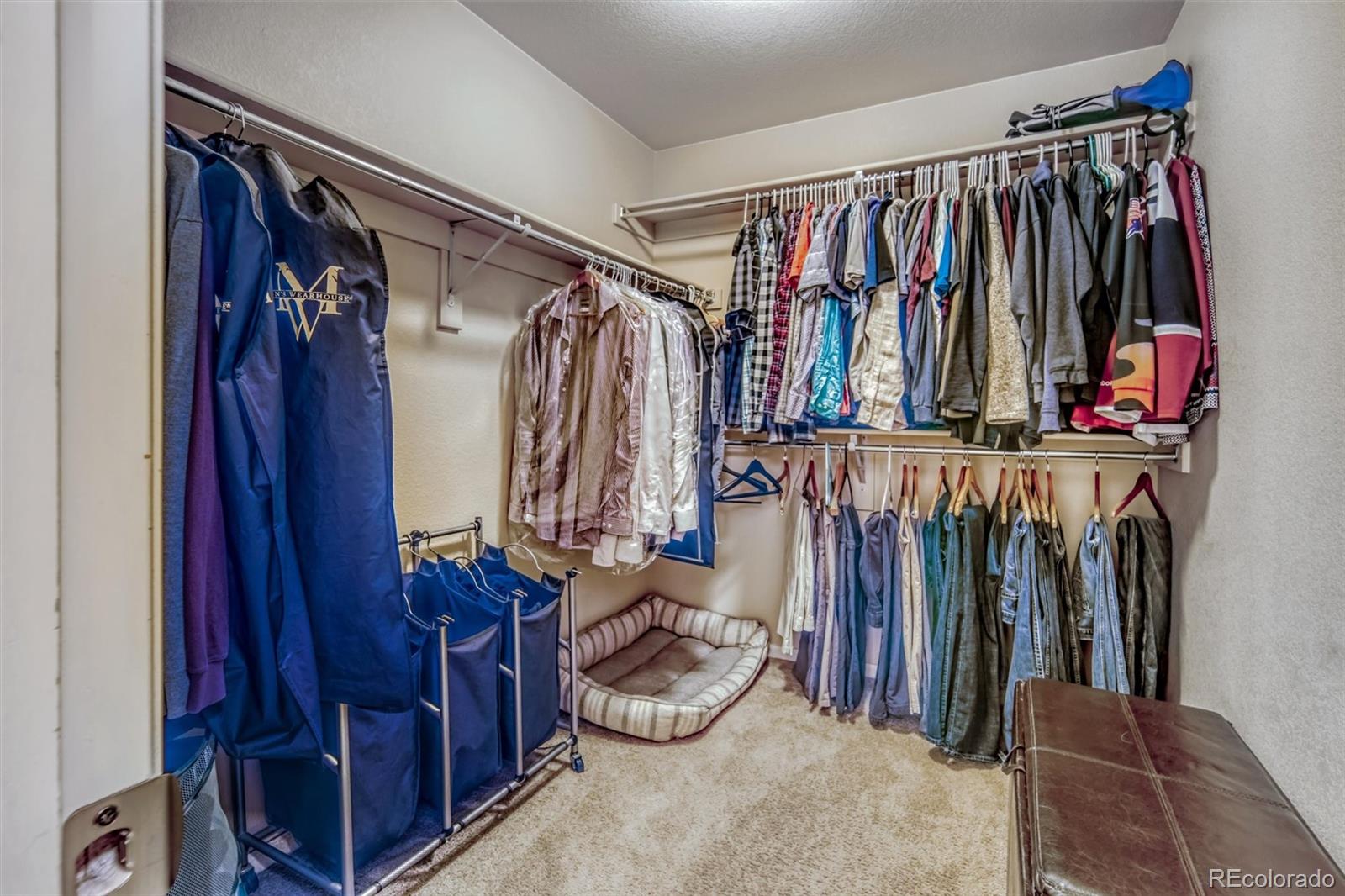 MLS Image #21 for 3810  cadence drive,castle rock, Colorado