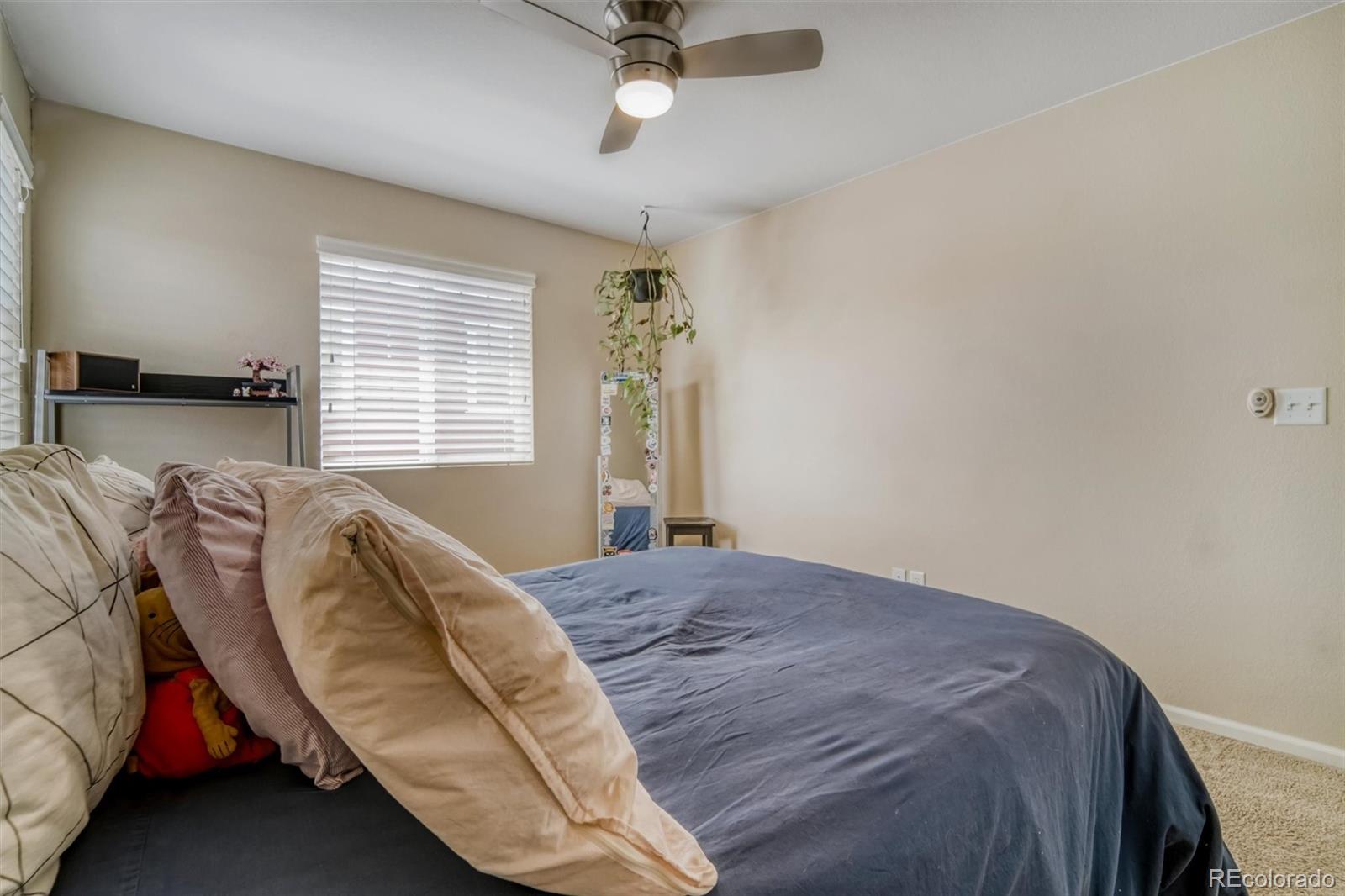 MLS Image #25 for 3810  cadence drive,castle rock, Colorado