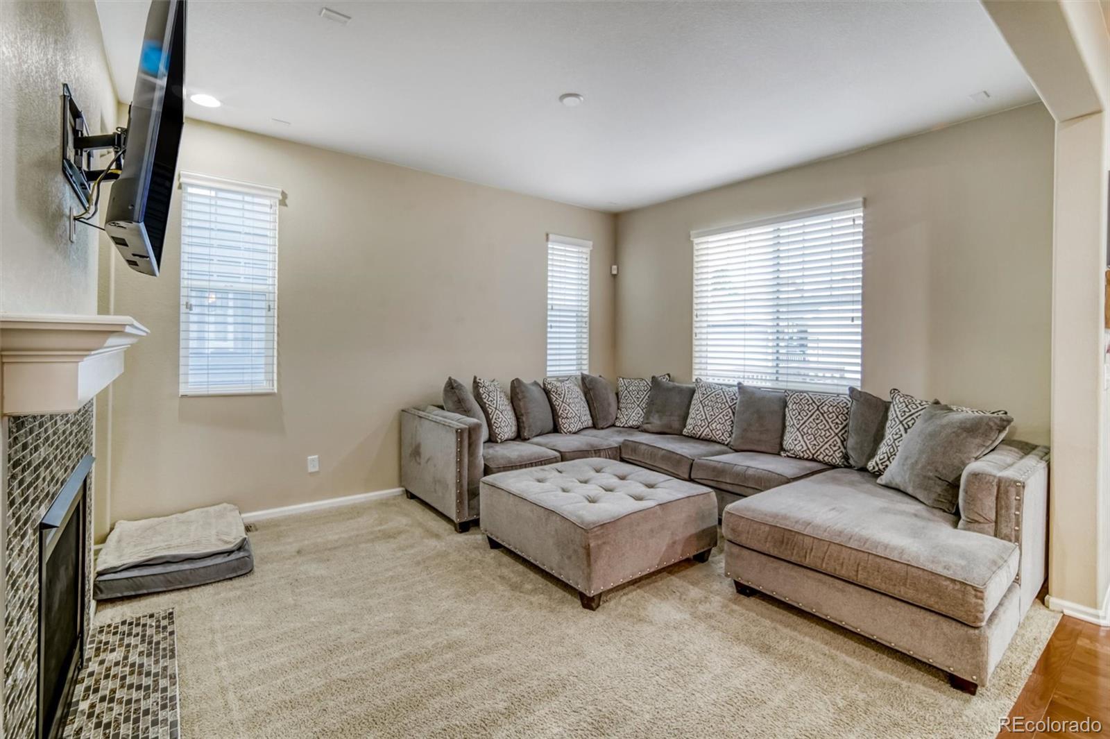 MLS Image #3 for 3810  cadence drive,castle rock, Colorado