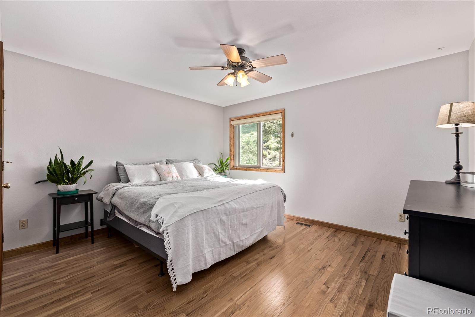 MLS Image #13 for 13950  pine valley road,pine, Colorado