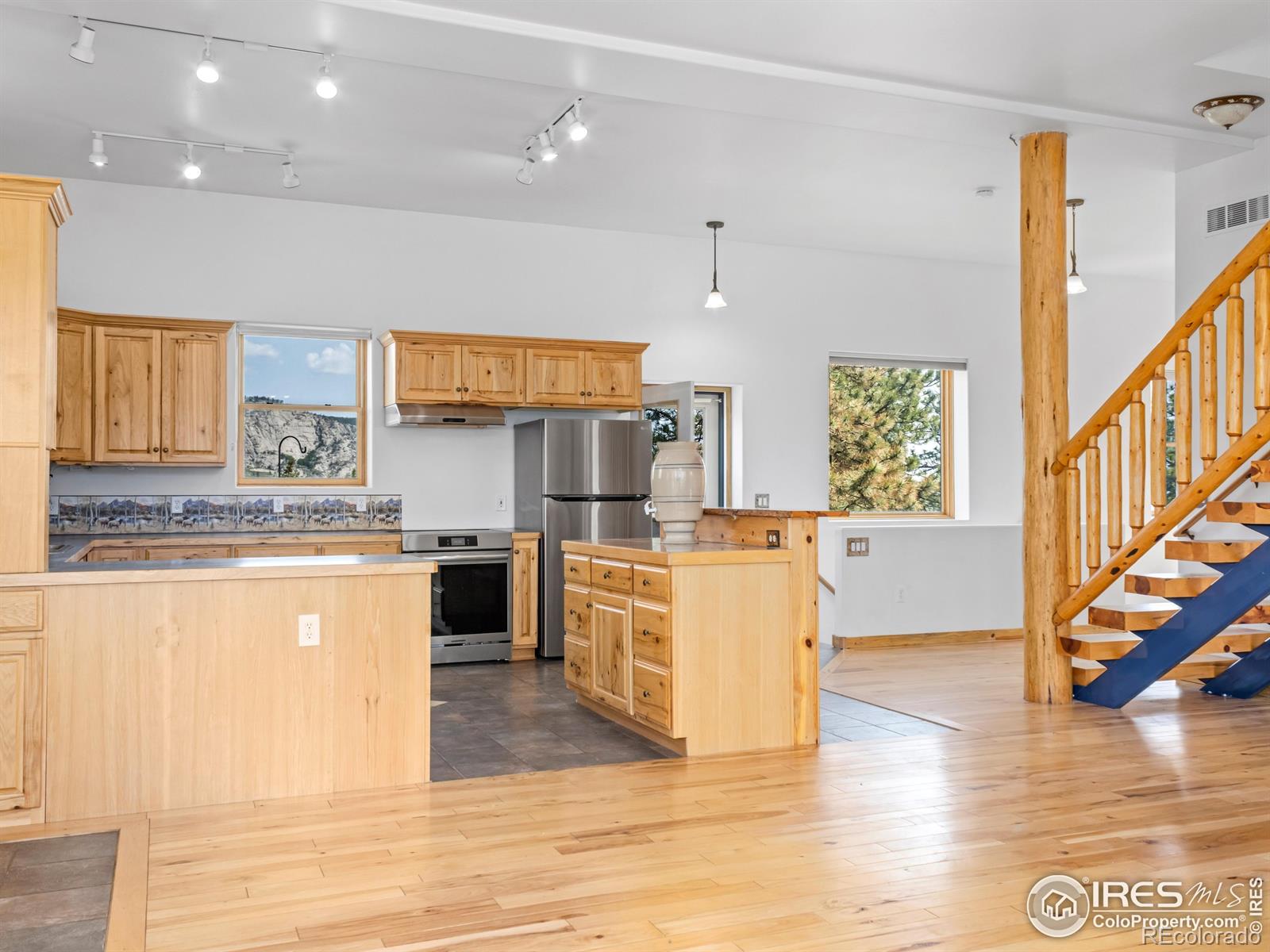 MLS Image #11 for 100  snow top drive,drake, Colorado