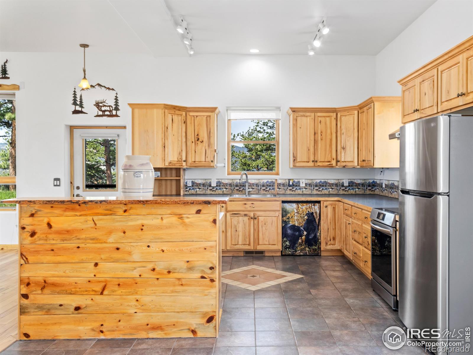 MLS Image #13 for 100  snow top drive,drake, Colorado