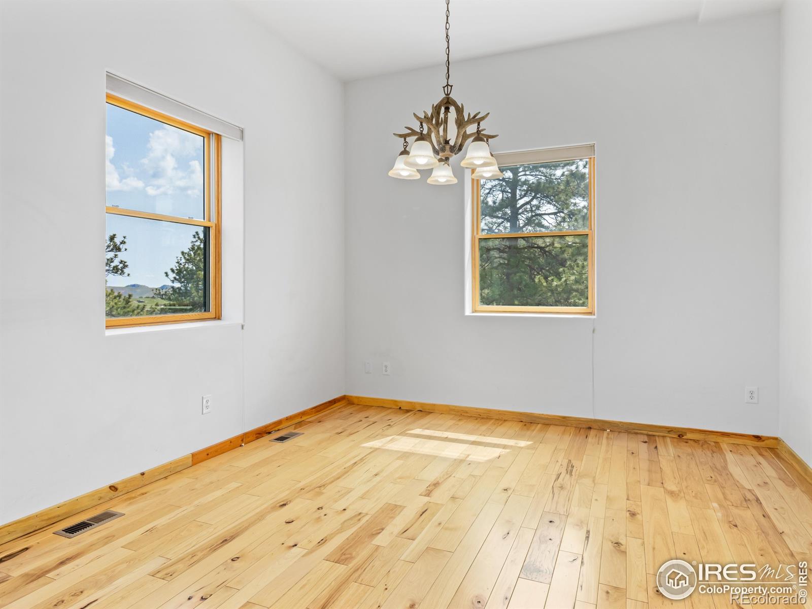 MLS Image #14 for 100  snow top drive,drake, Colorado