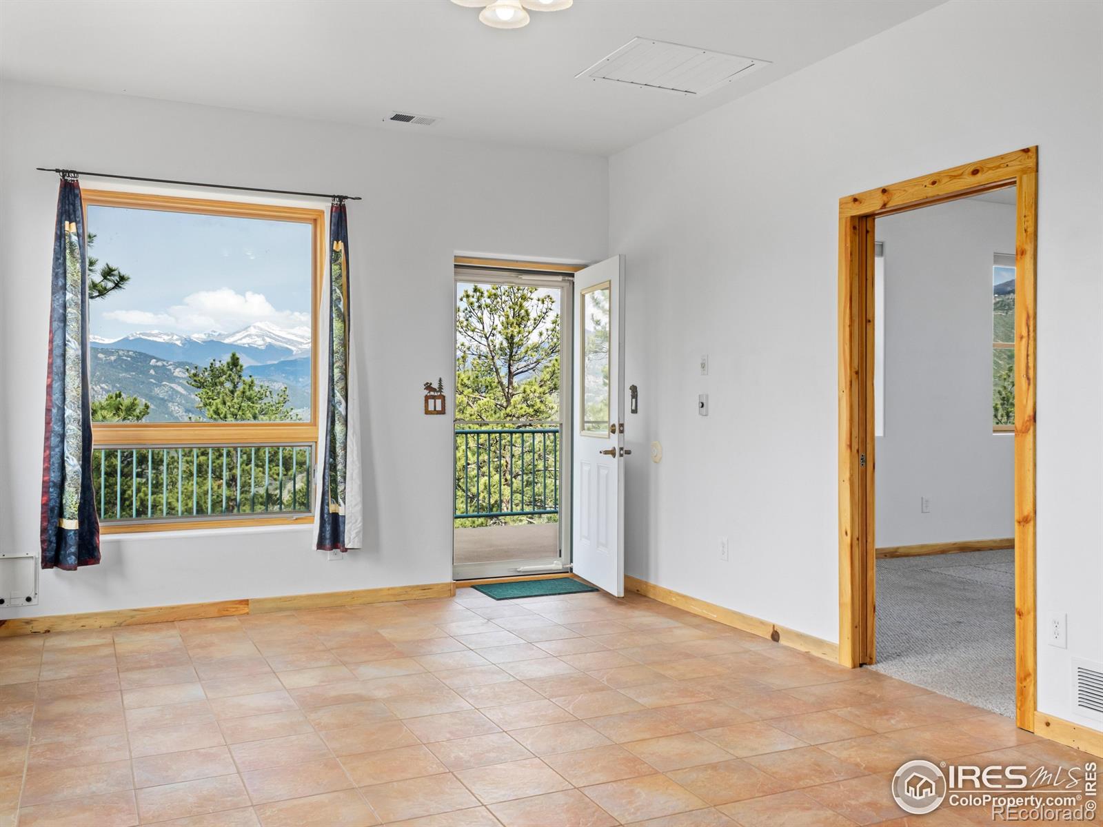 MLS Image #21 for 100  snow top drive,drake, Colorado
