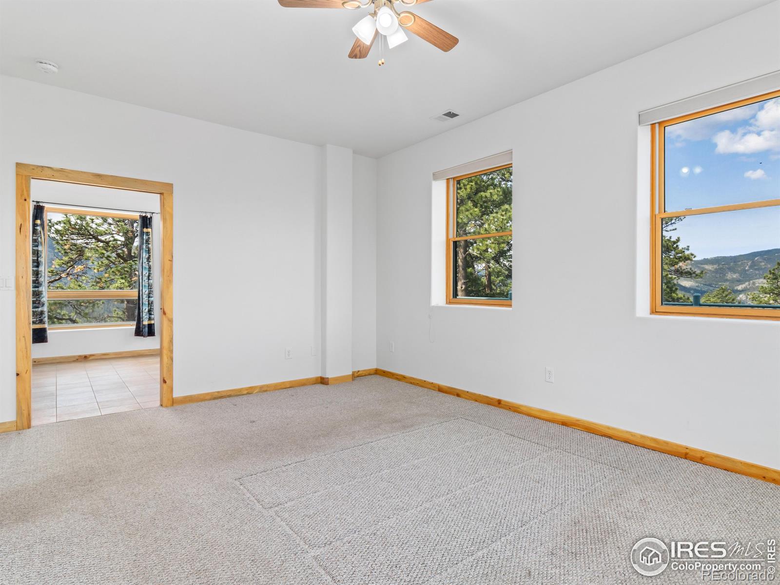 MLS Image #24 for 100  snow top drive,drake, Colorado