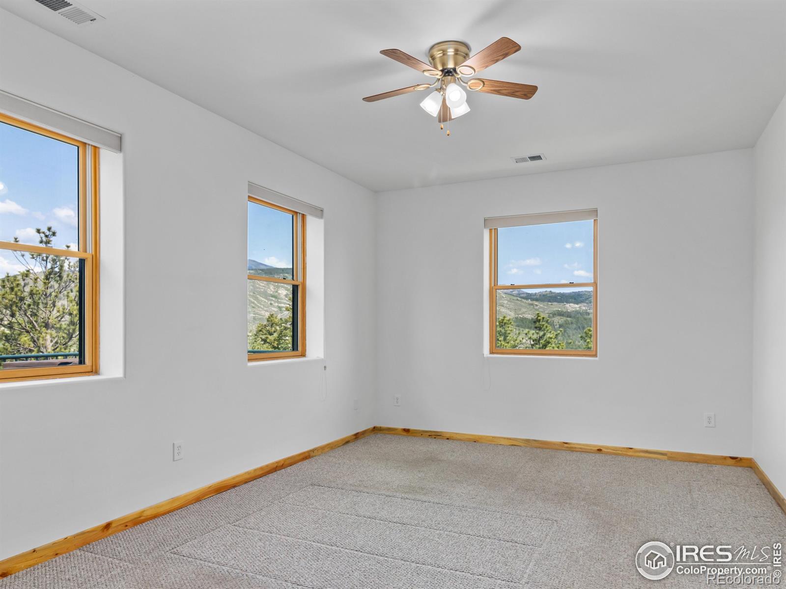 MLS Image #25 for 100  snow top drive,drake, Colorado
