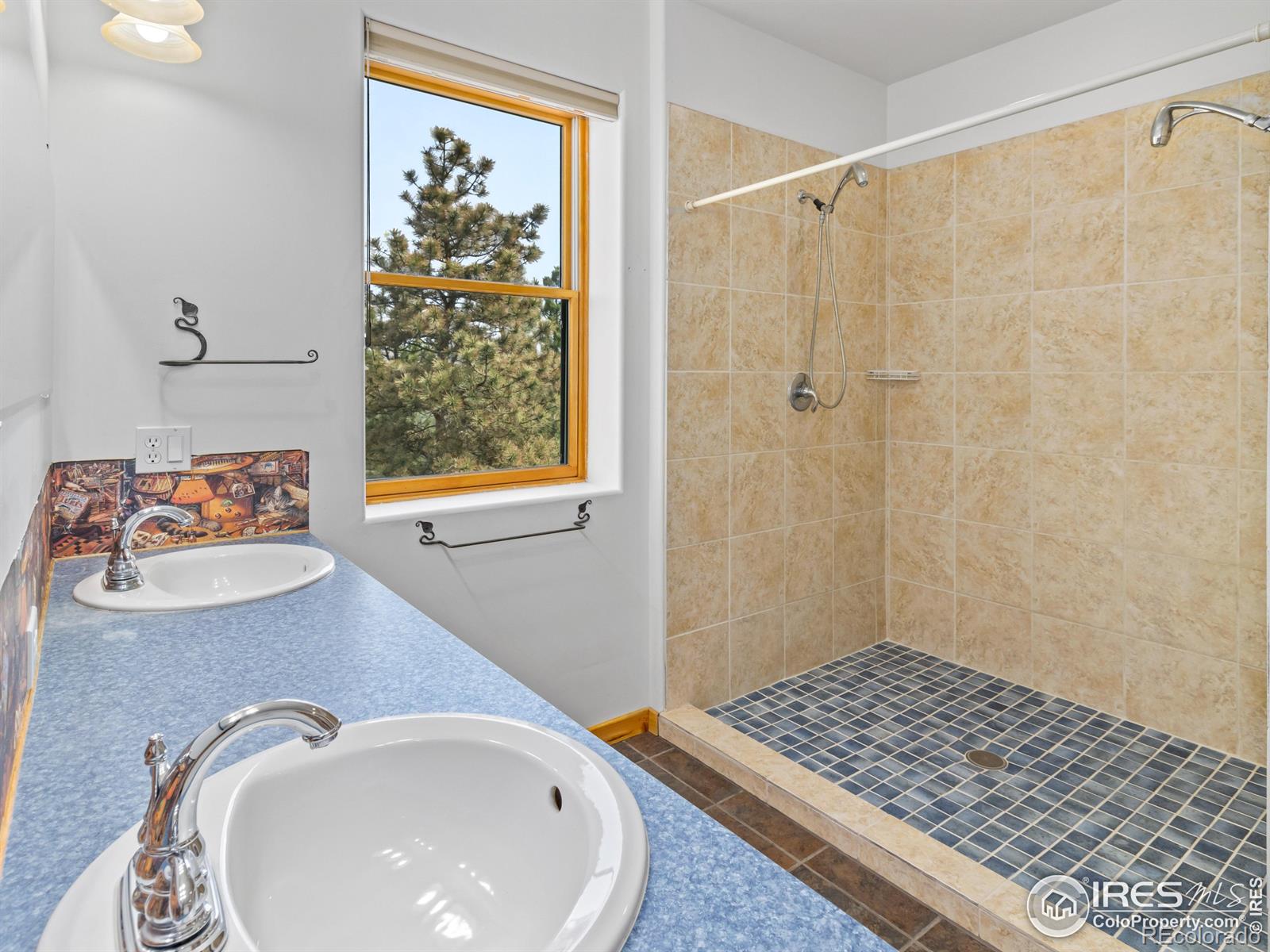 MLS Image #27 for 100  snow top drive,drake, Colorado