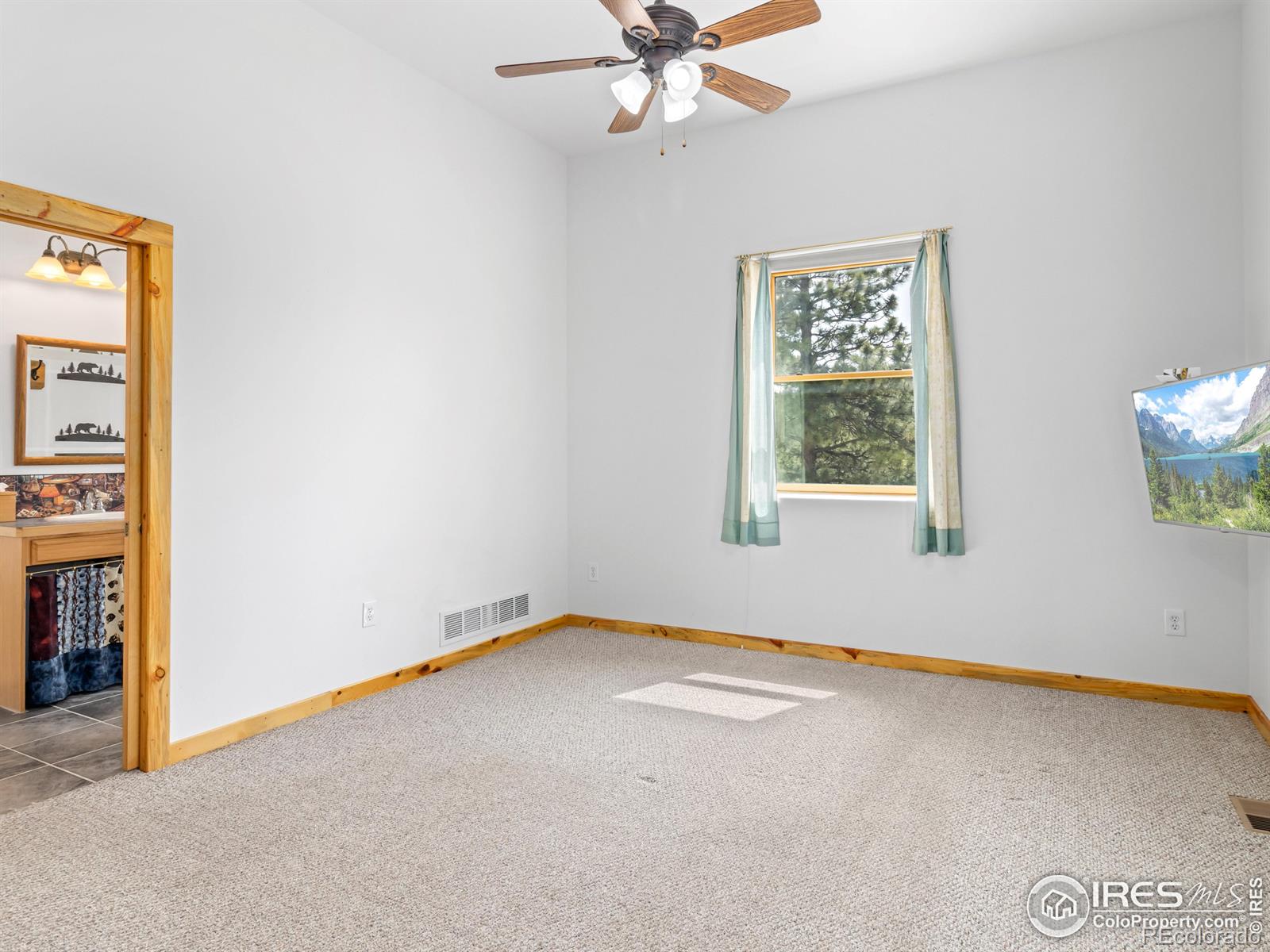 MLS Image #28 for 100  snow top drive,drake, Colorado