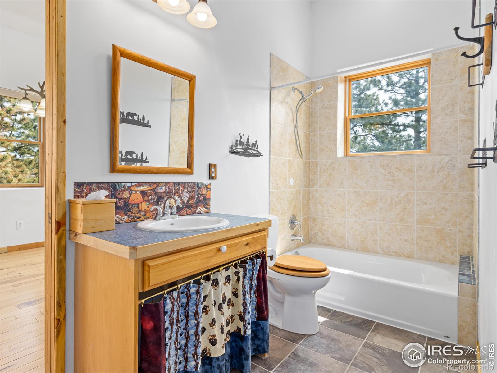 MLS Image #29 for 100  snow top drive,drake, Colorado
