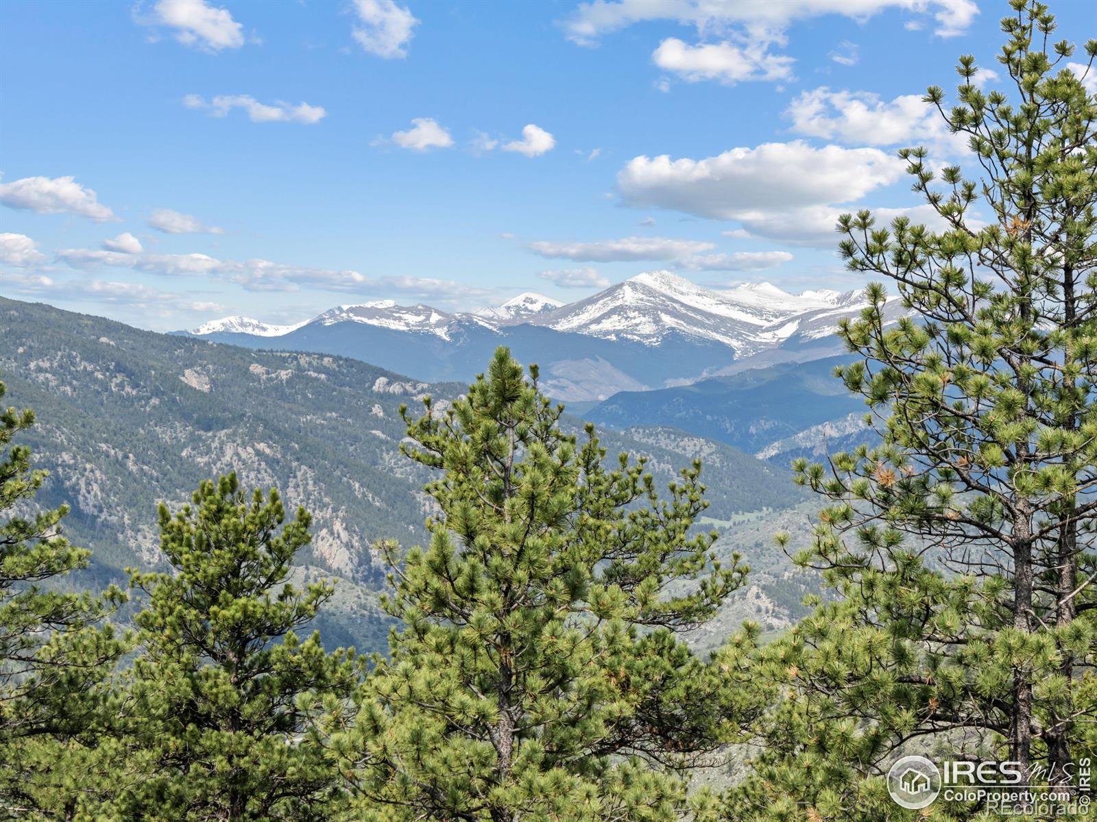 MLS Image #36 for 100  snow top drive,drake, Colorado