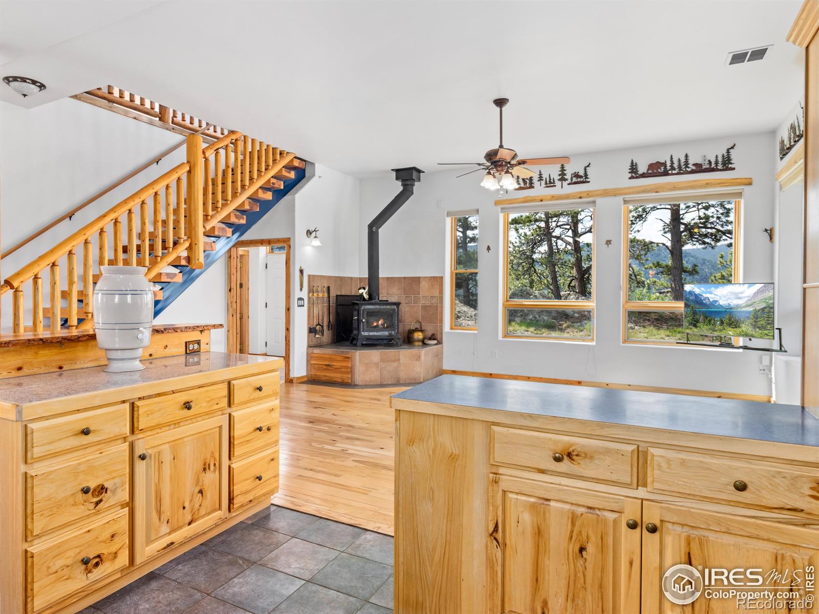 MLS Image #4 for 100  snow top drive,drake, Colorado