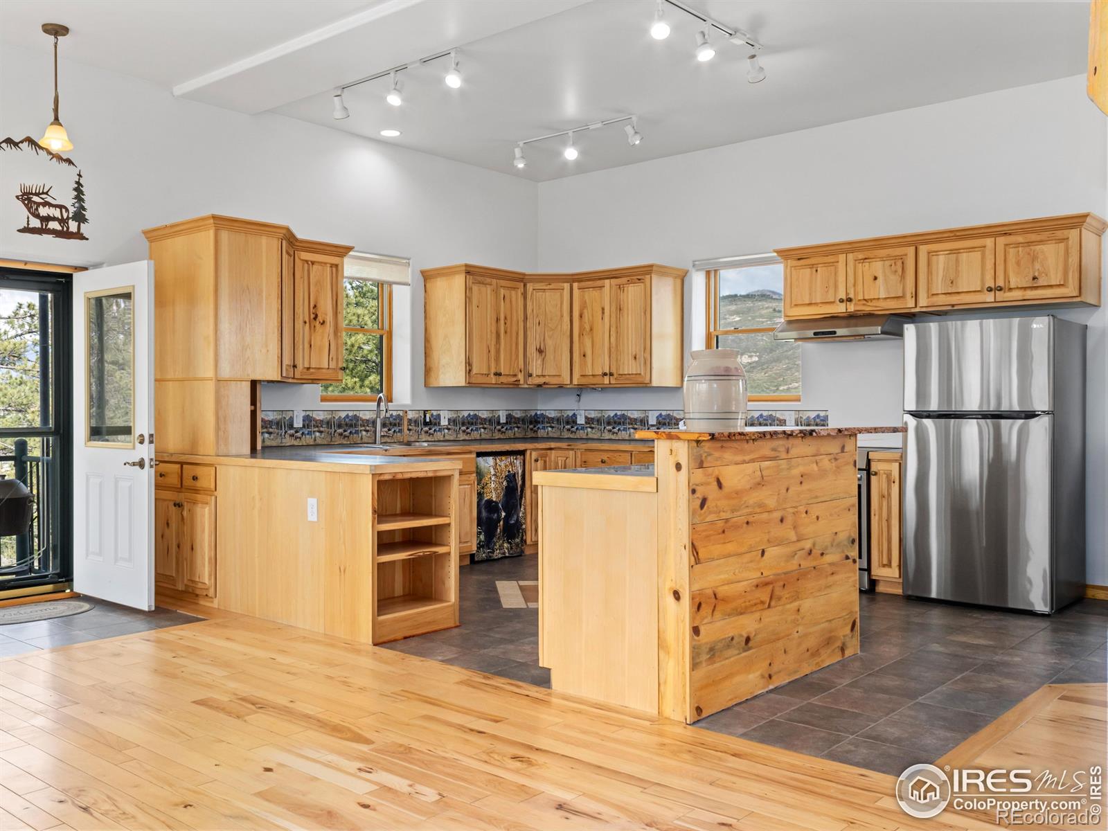 MLS Image #5 for 100  snow top drive,drake, Colorado