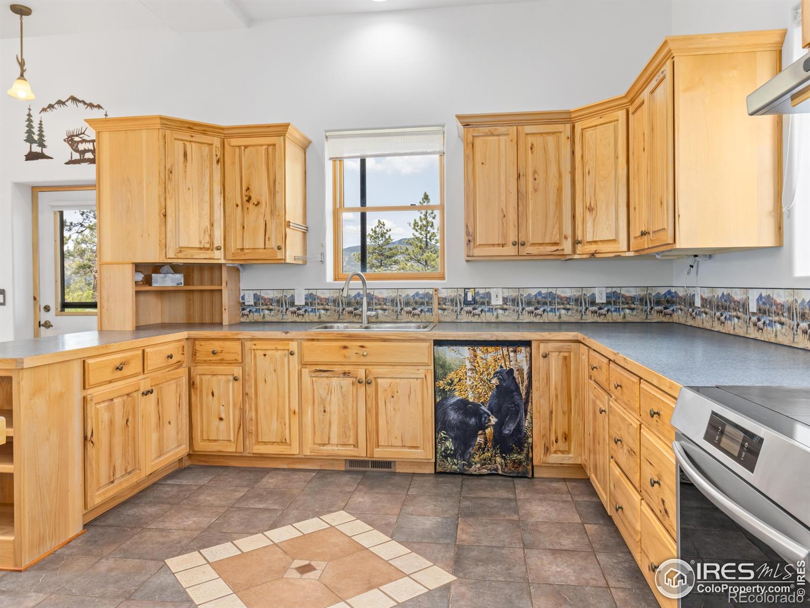 MLS Image #6 for 100  snow top drive,drake, Colorado