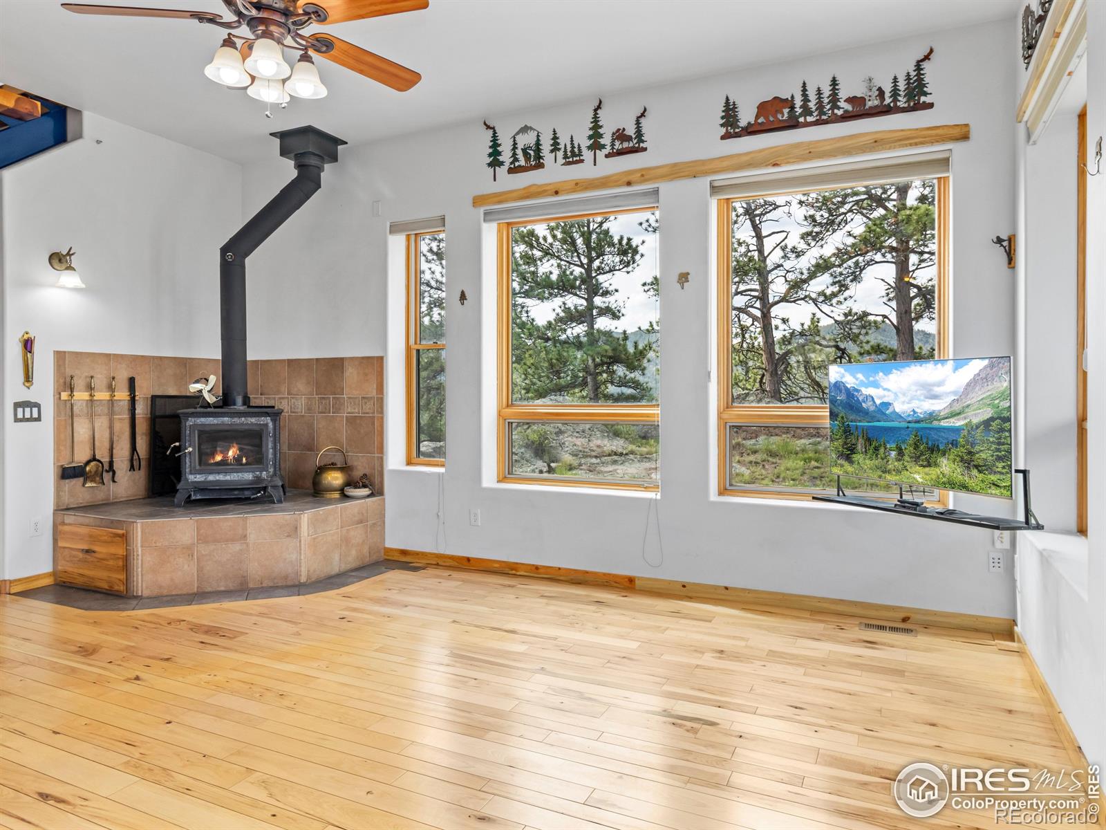 MLS Image #8 for 100  snow top drive,drake, Colorado