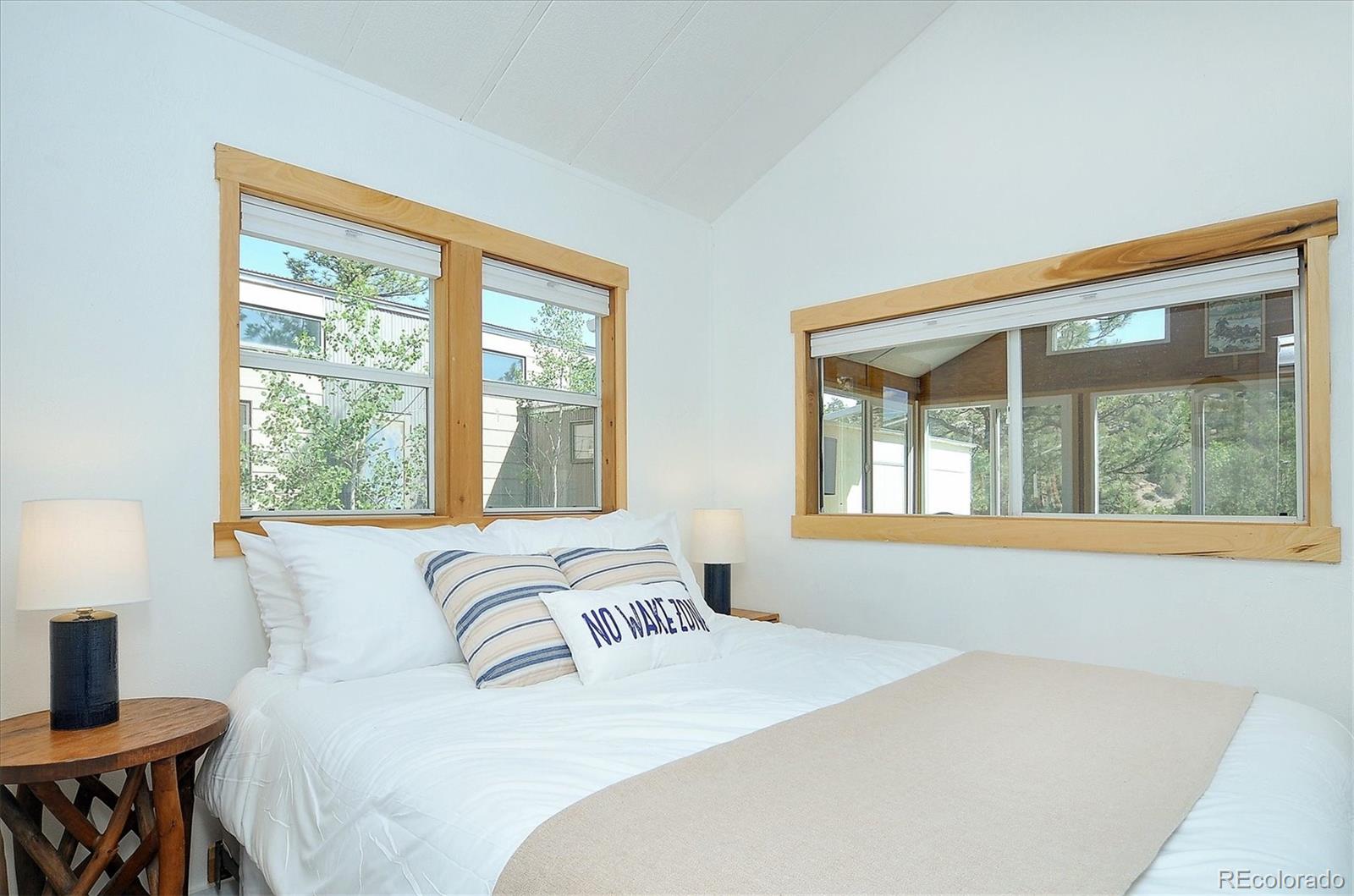 MLS Image #13 for 10795  county road 197a ,nathrop, Colorado