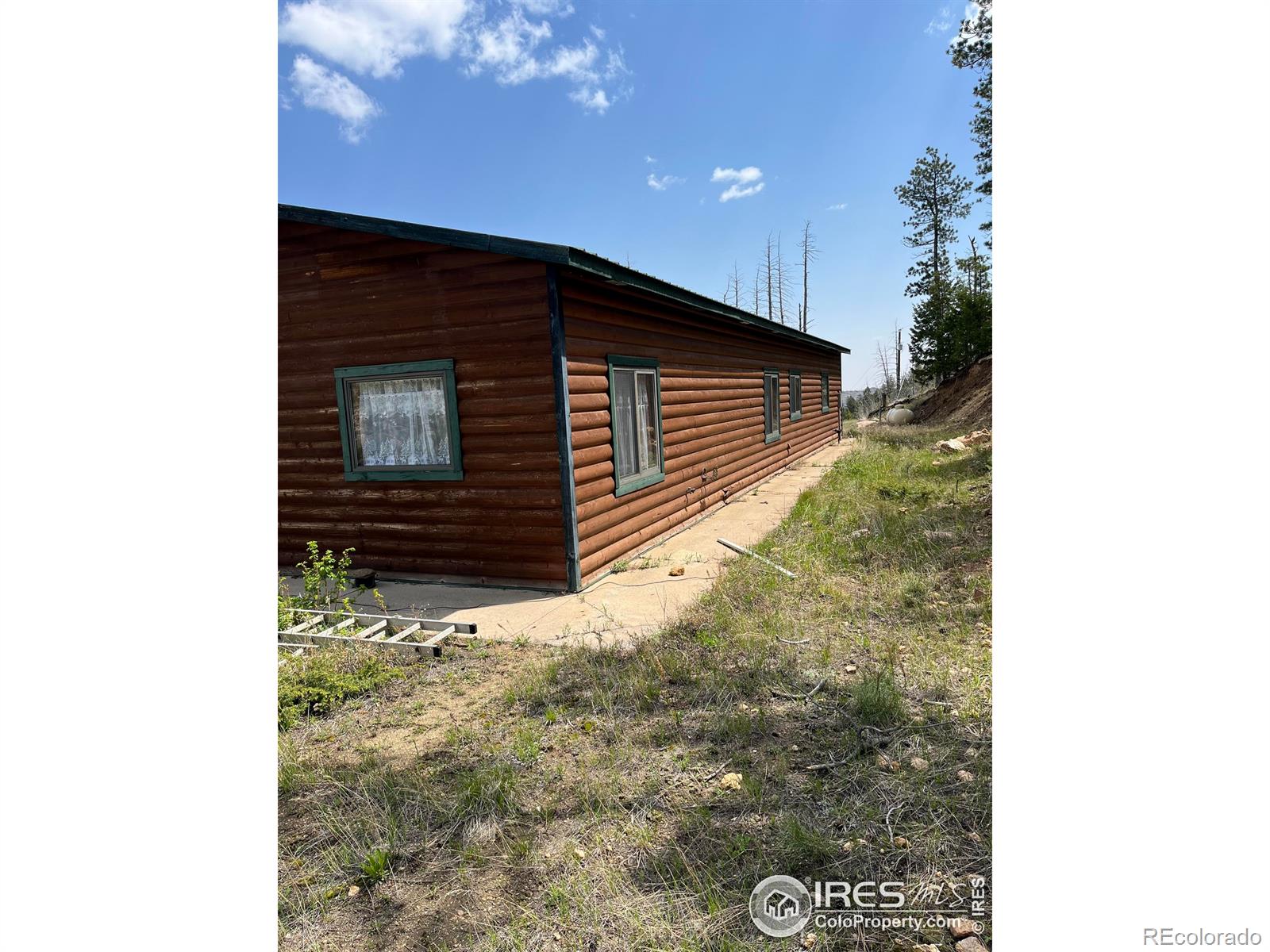 MLS Image #10 for 821  woodlot lane,bellvue, Colorado