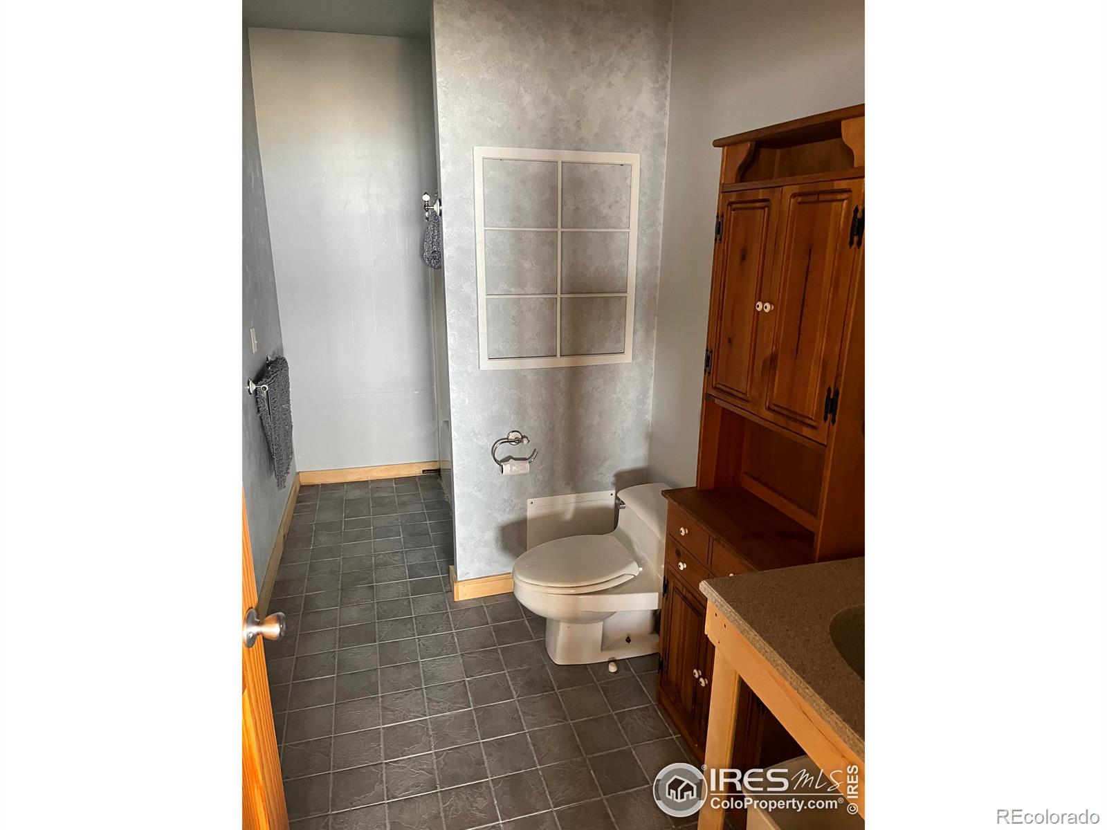 MLS Image #4 for 821  woodlot lane,bellvue, Colorado