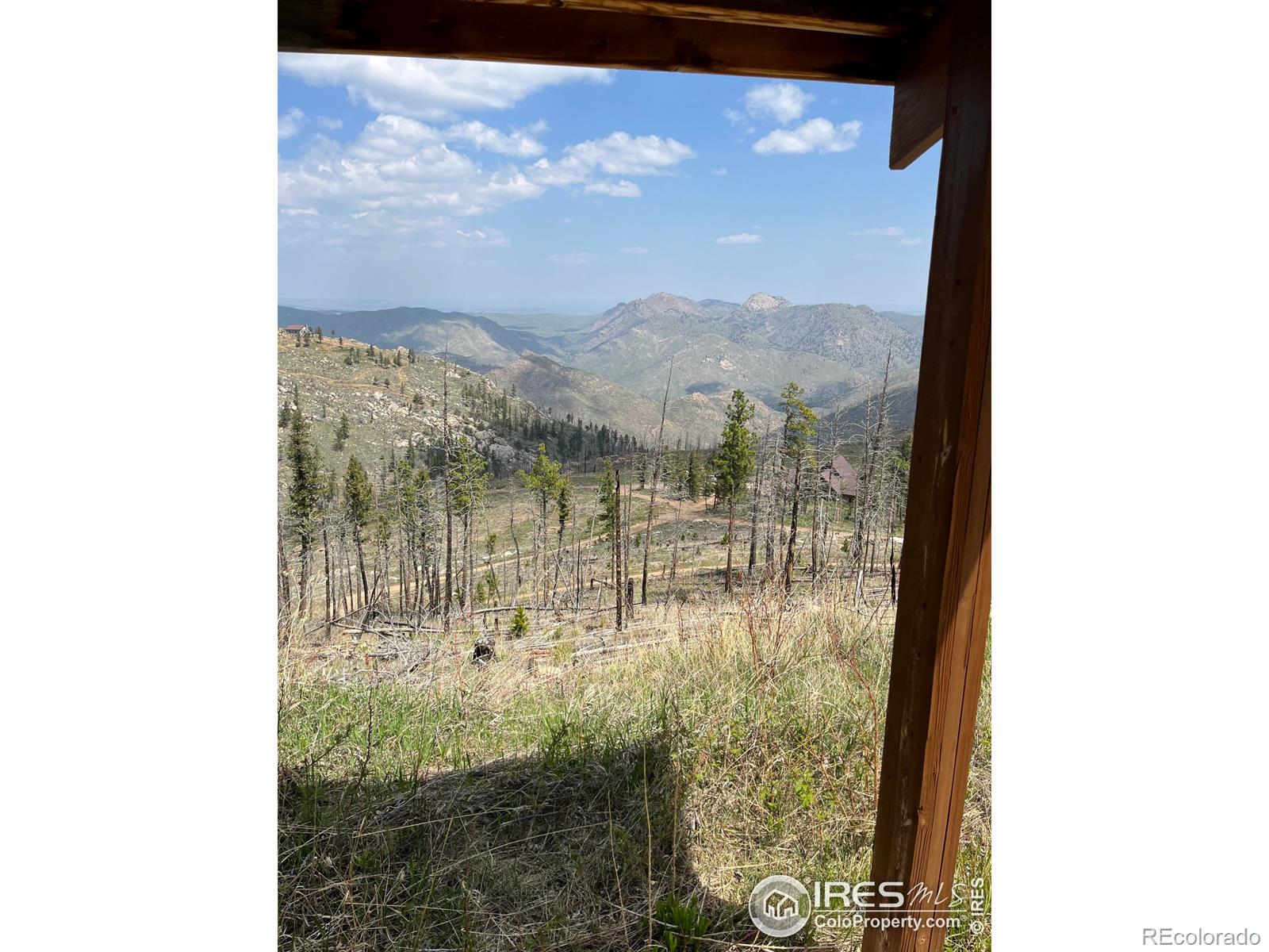 MLS Image #7 for 821  woodlot lane,bellvue, Colorado