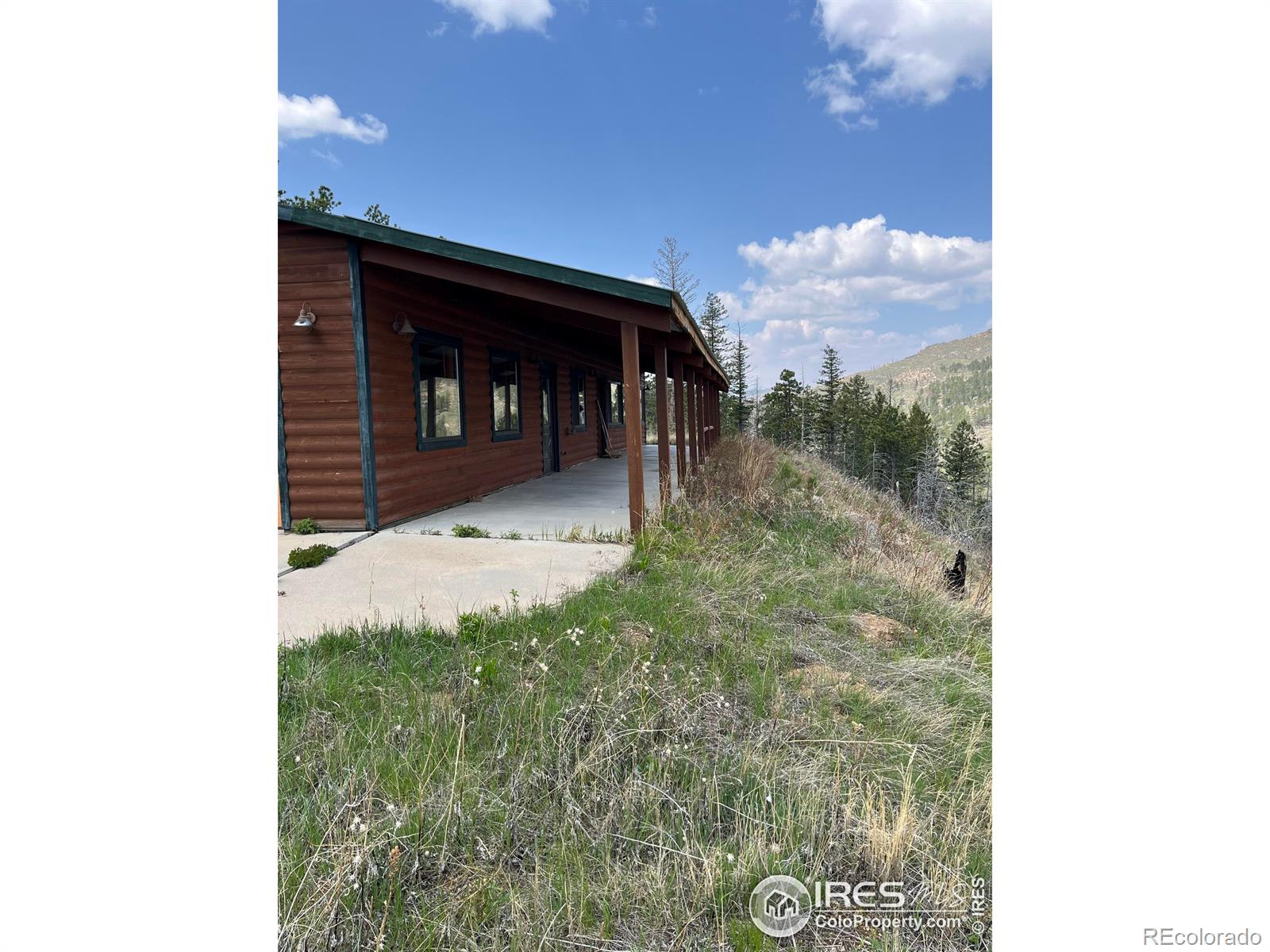MLS Image #9 for 821  woodlot lane,bellvue, Colorado