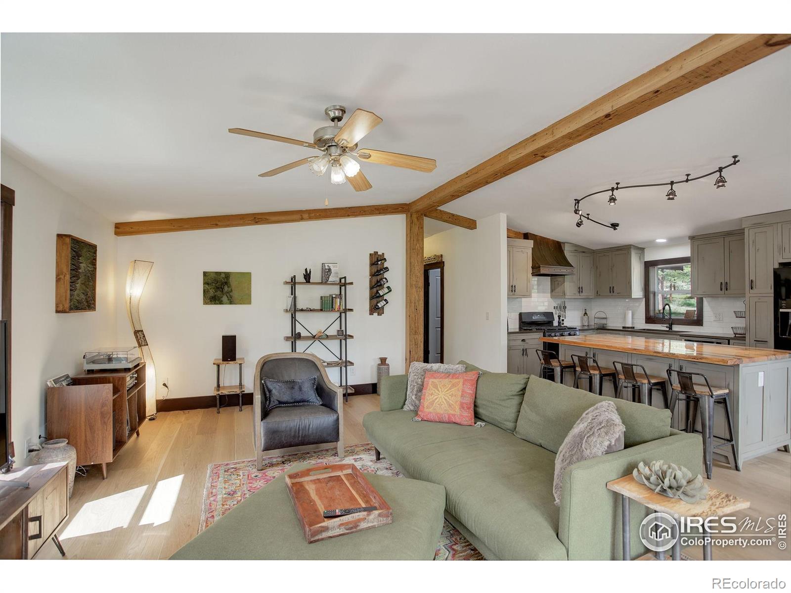 MLS Image #10 for 277  ski road,allenspark, Colorado