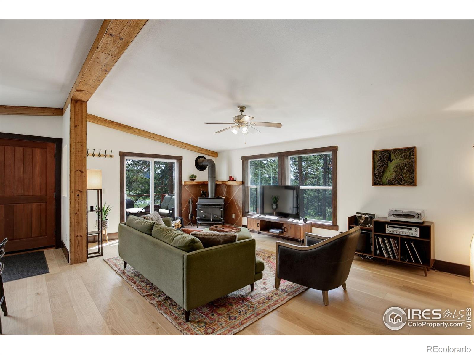 MLS Image #11 for 277  ski road,allenspark, Colorado