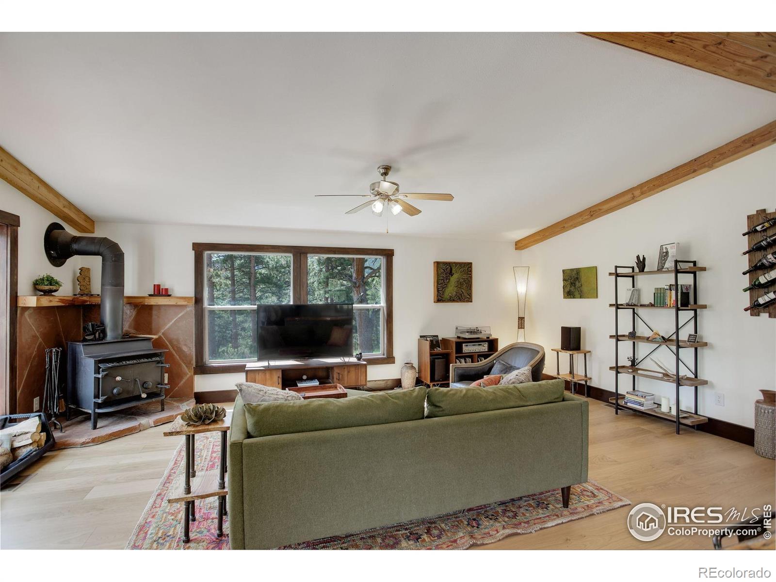 MLS Image #12 for 277  ski road,allenspark, Colorado