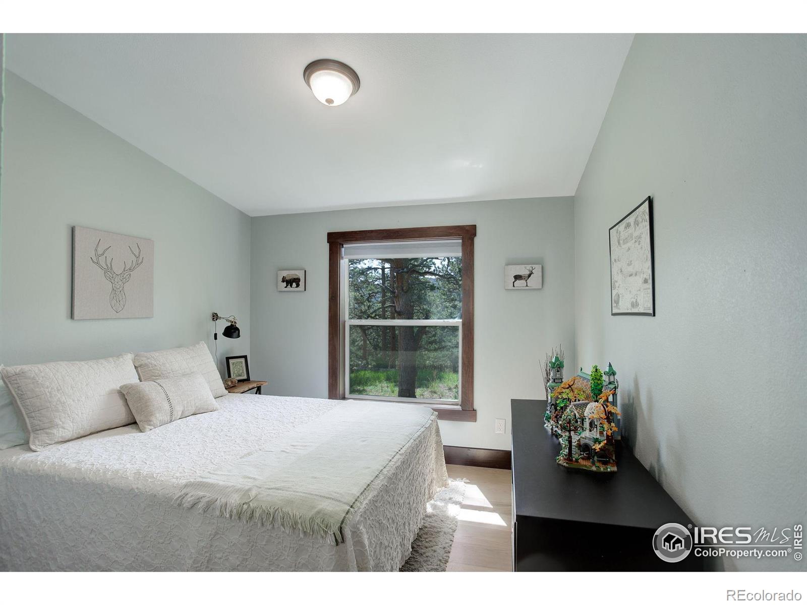 MLS Image #20 for 277  ski road,allenspark, Colorado