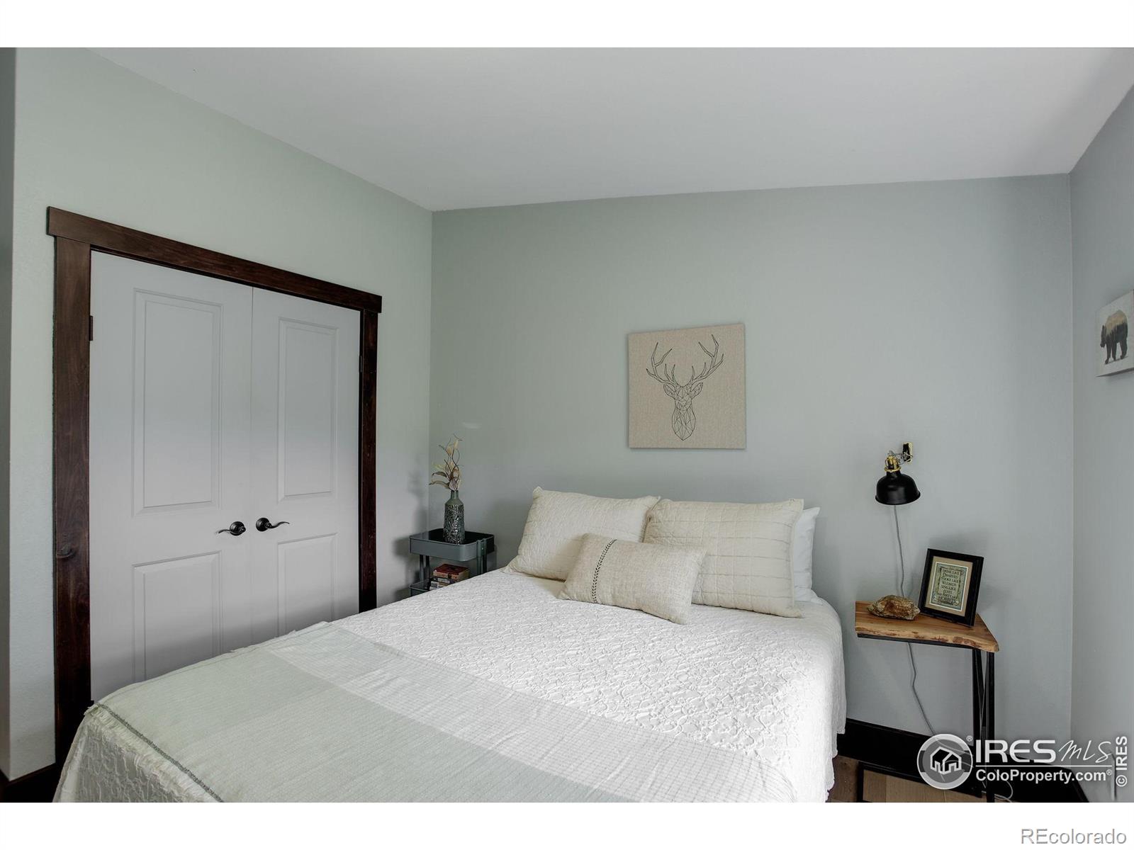MLS Image #21 for 277  ski road,allenspark, Colorado