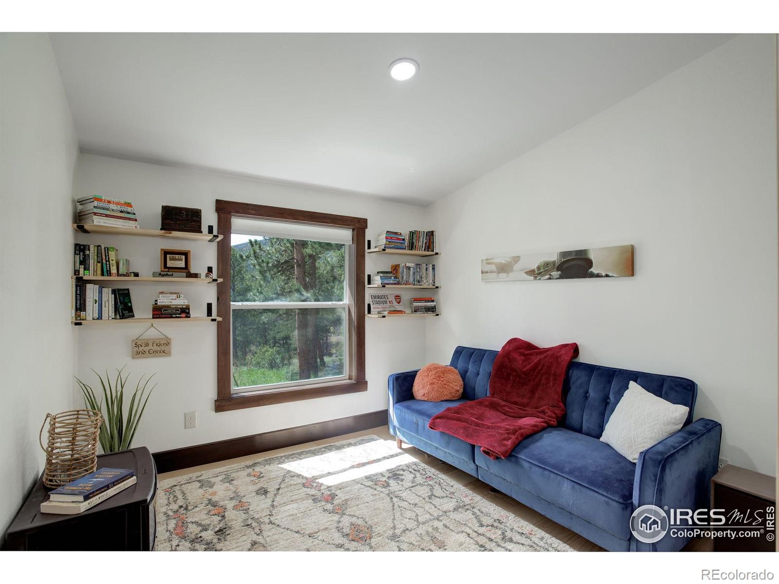 MLS Image #23 for 277  ski road,allenspark, Colorado