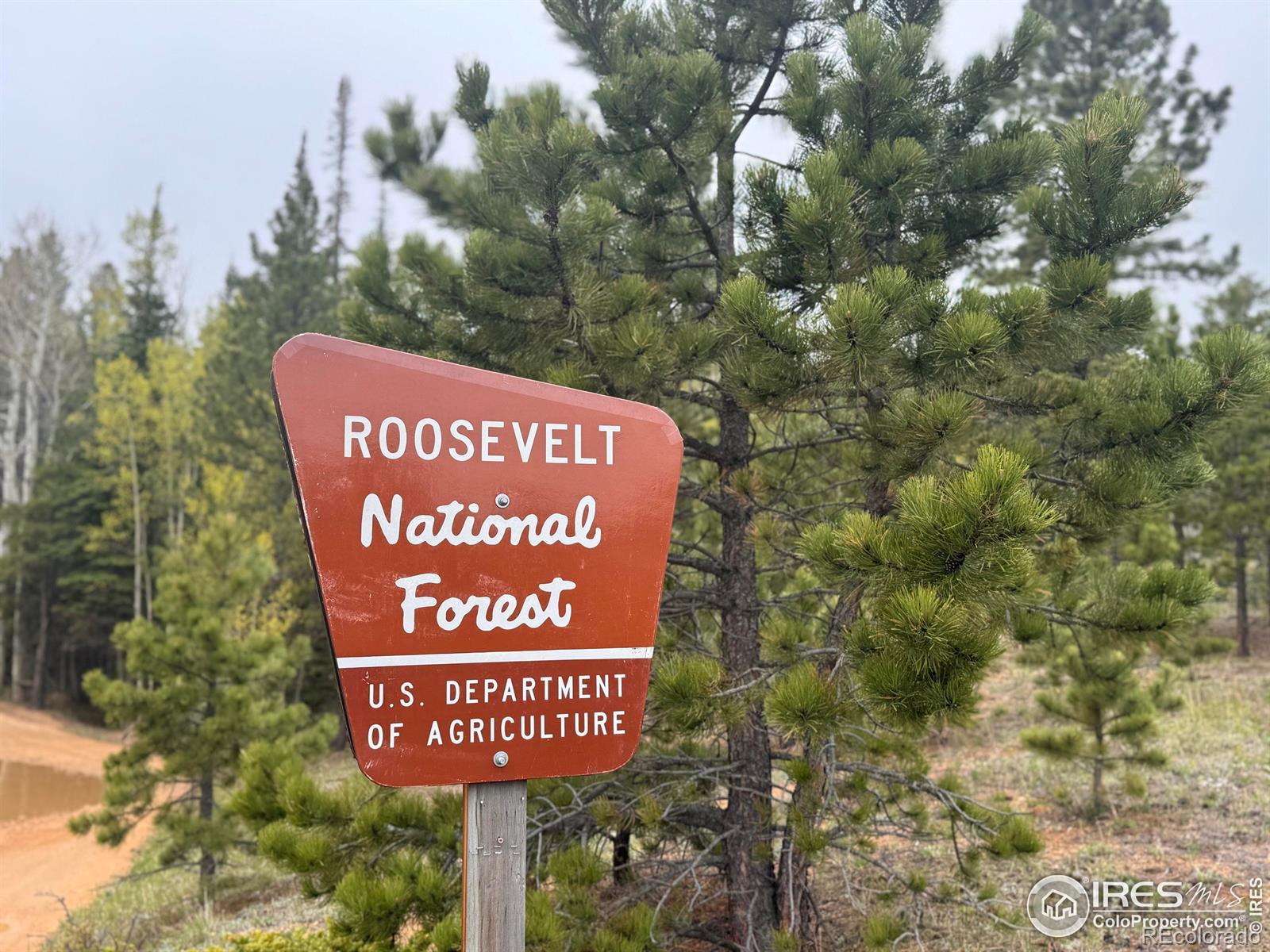 MLS Image #34 for 277  ski road,allenspark, Colorado