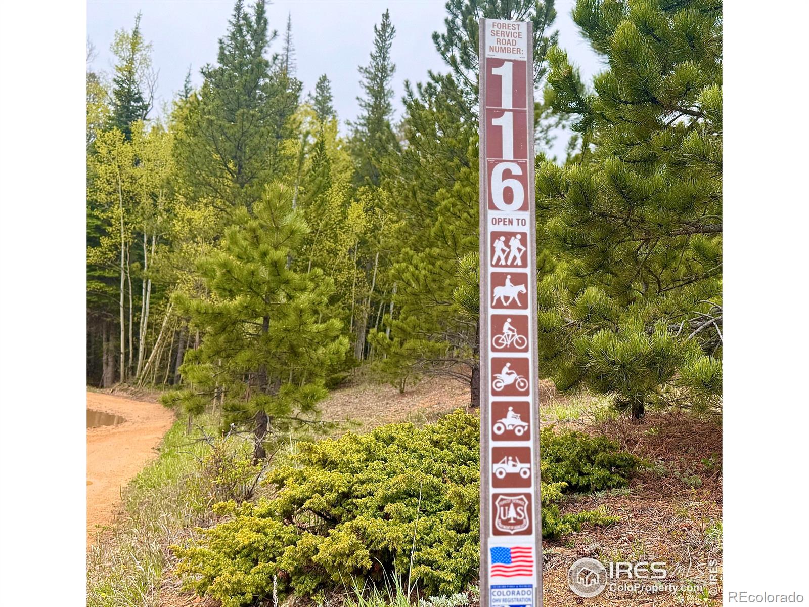 MLS Image #35 for 277  ski road,allenspark, Colorado