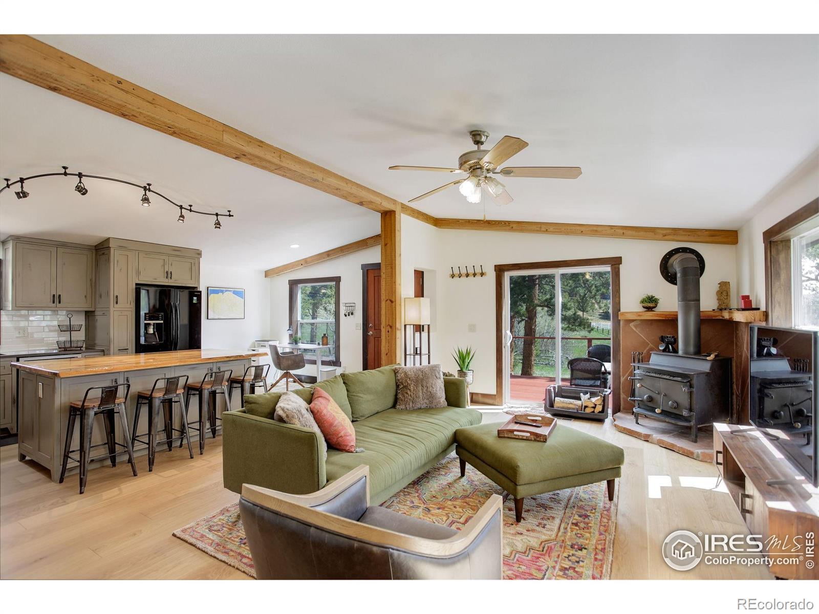 MLS Image #5 for 277  ski road,allenspark, Colorado