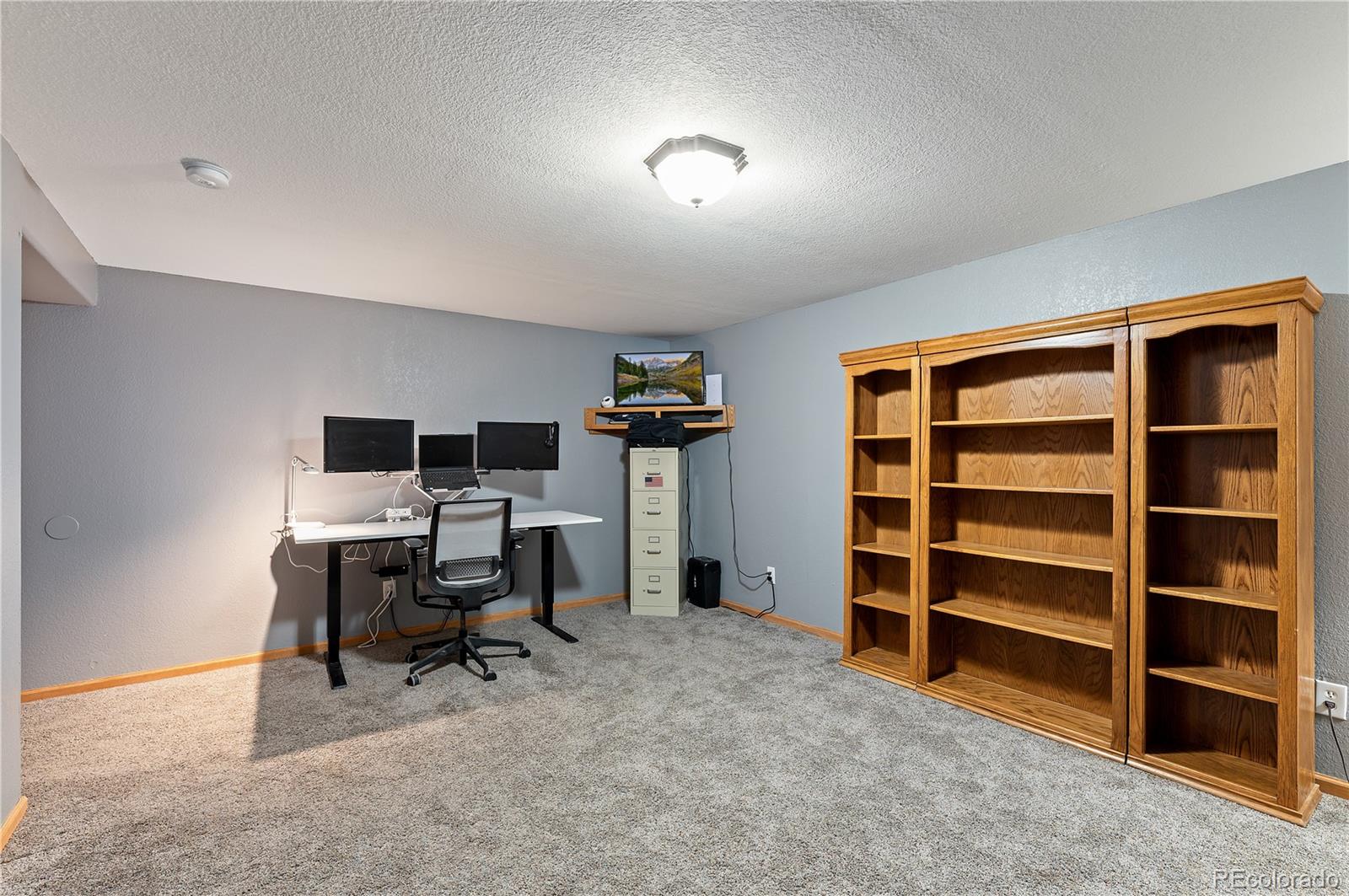 MLS Image #38 for 507  van egmond drive,penrose, Colorado