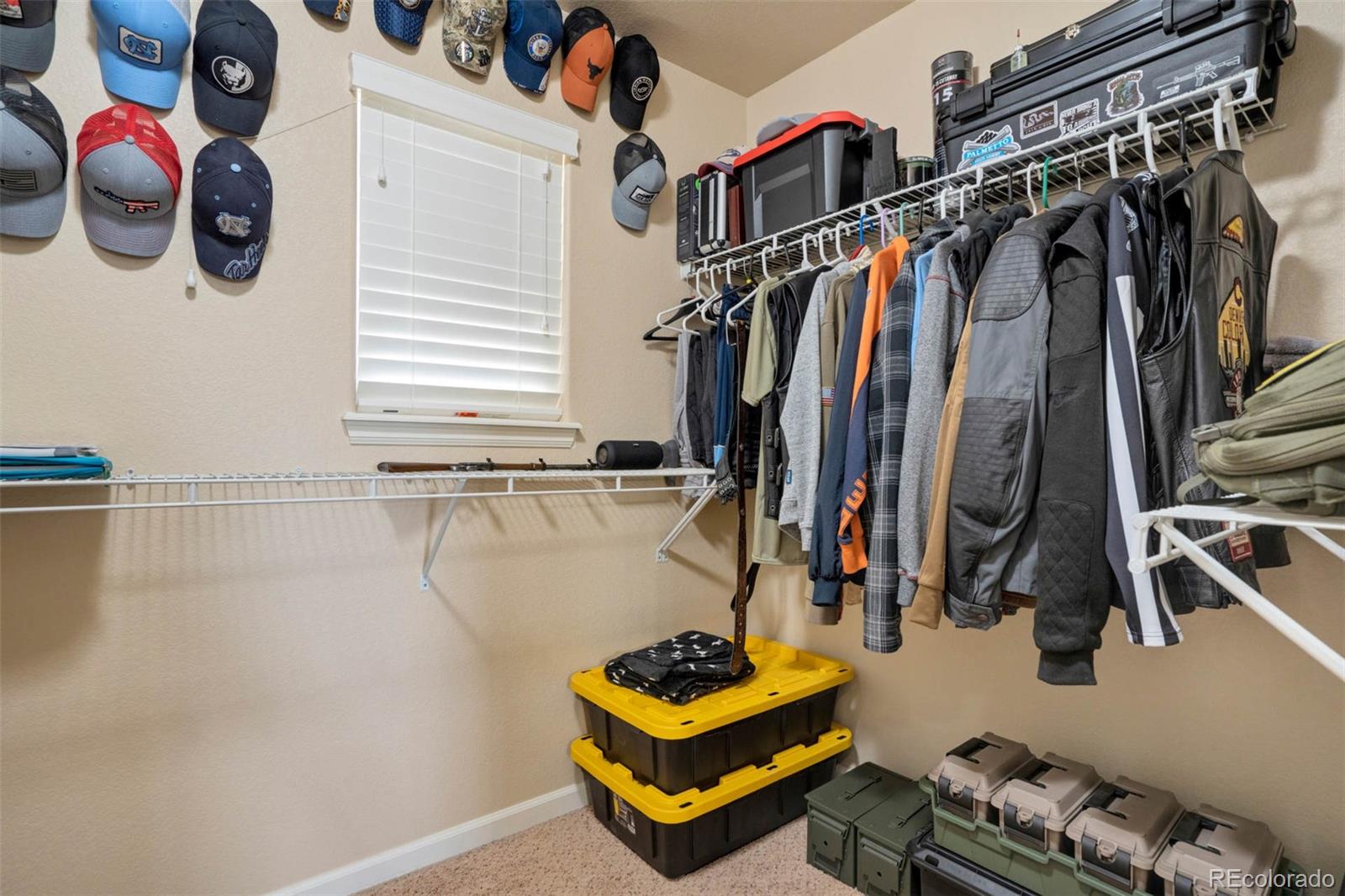 MLS Image #23 for 10202  abrams drive,colorado springs, Colorado