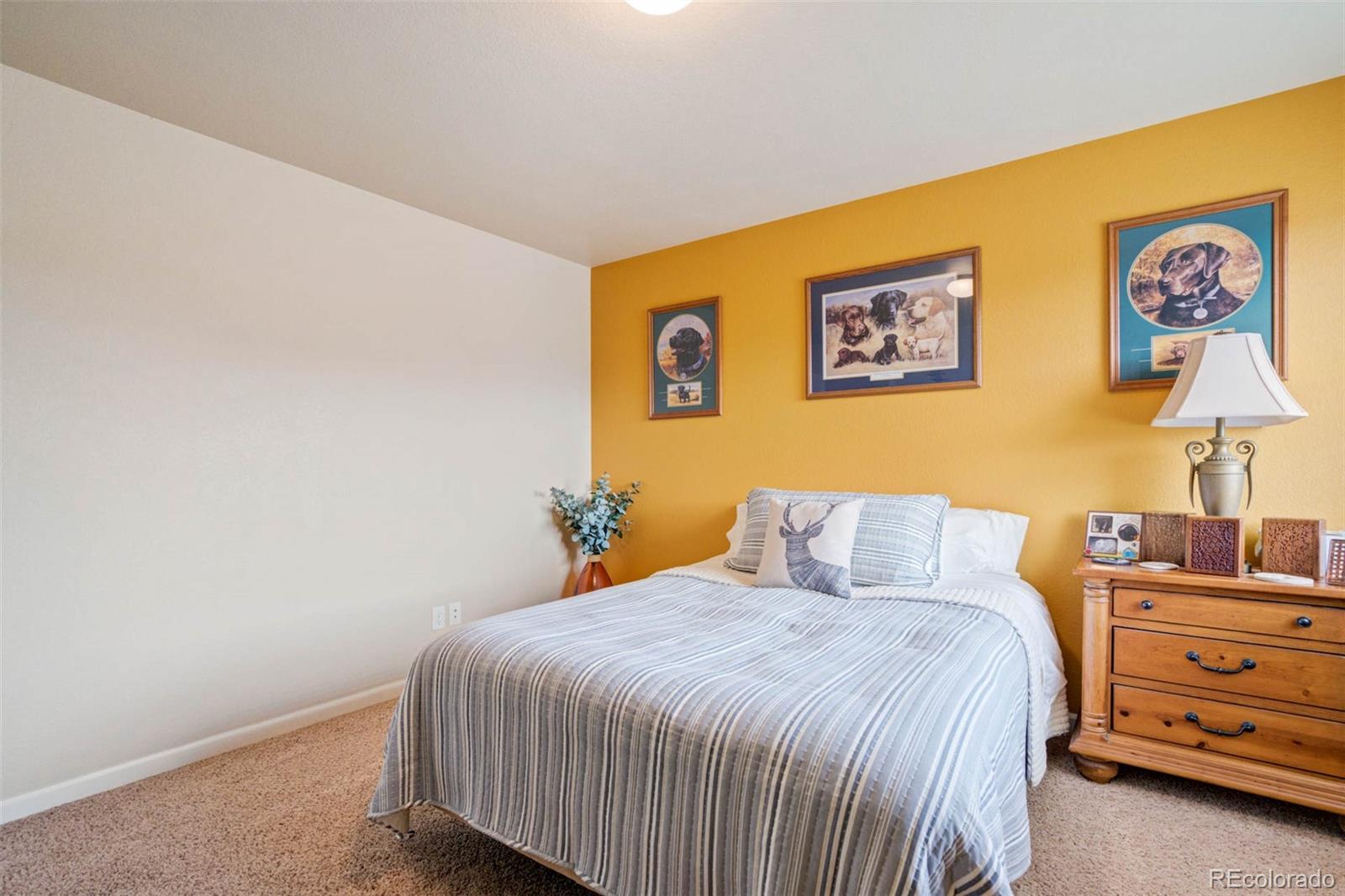 MLS Image #25 for 10202  abrams drive,colorado springs, Colorado