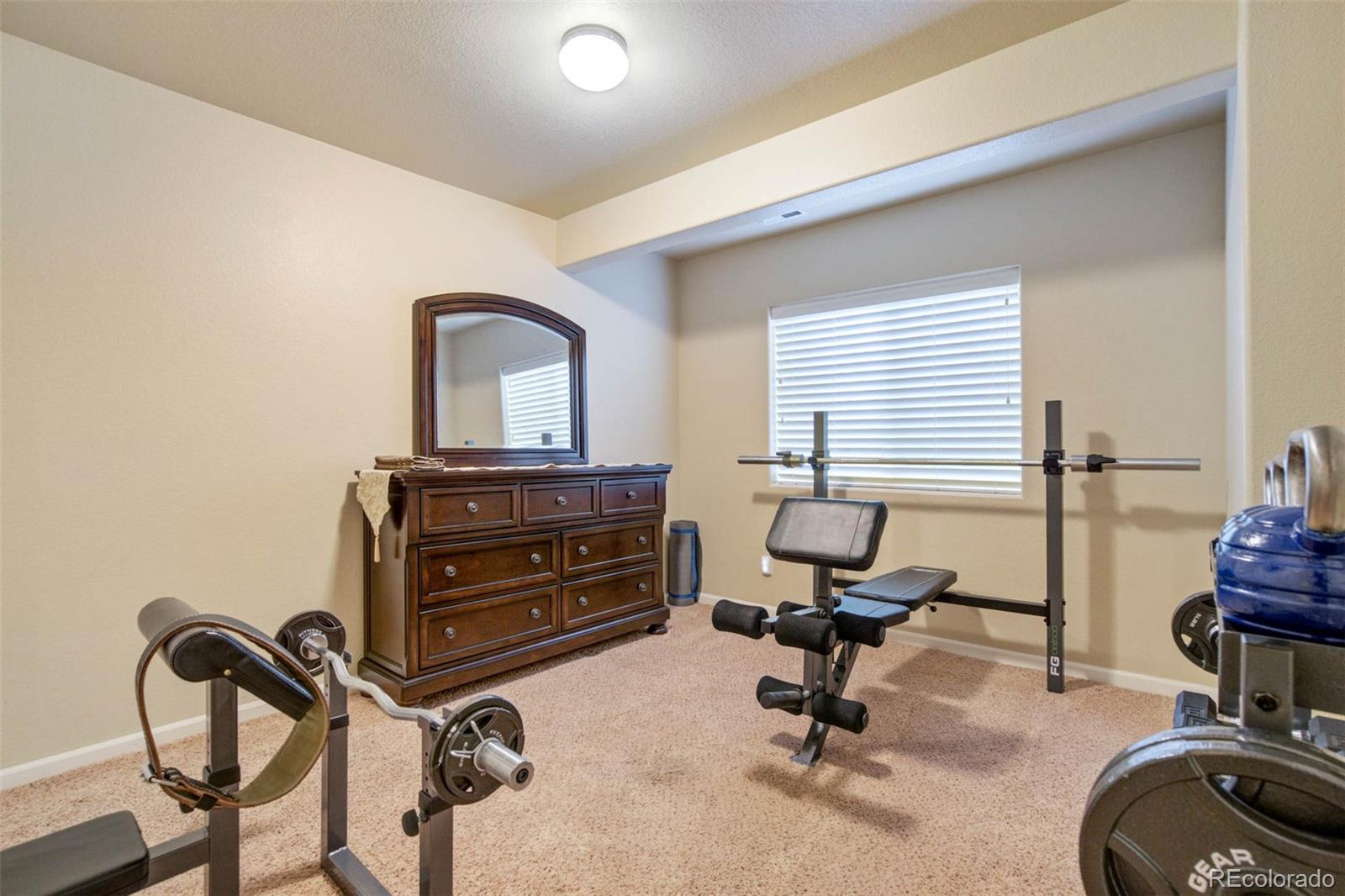 MLS Image #38 for 10202  abrams drive,colorado springs, Colorado