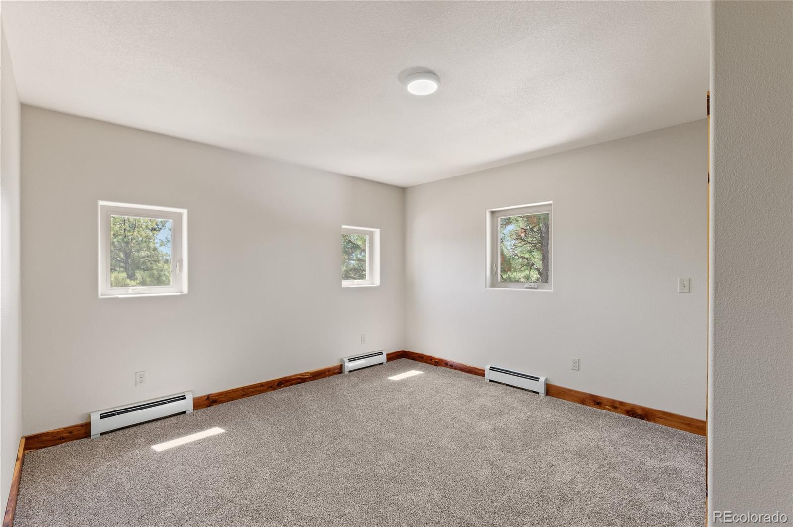 MLS Image #18 for 33002  bobcat court,trinidad, Colorado