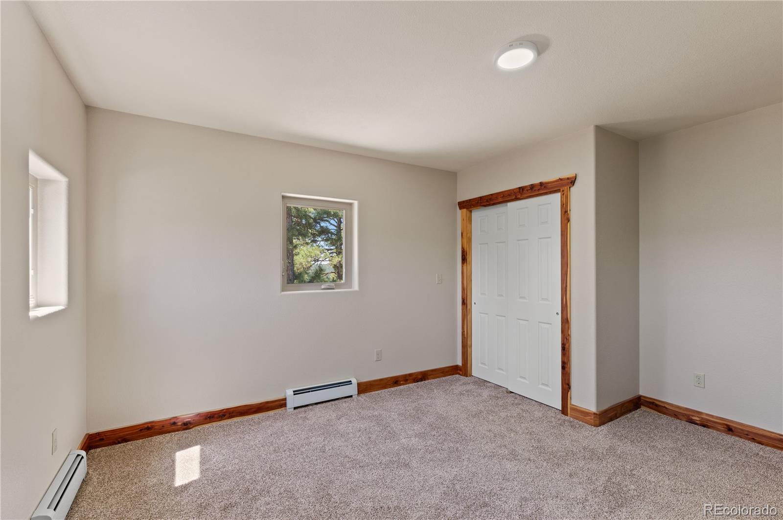 MLS Image #19 for 33002  bobcat court,trinidad, Colorado