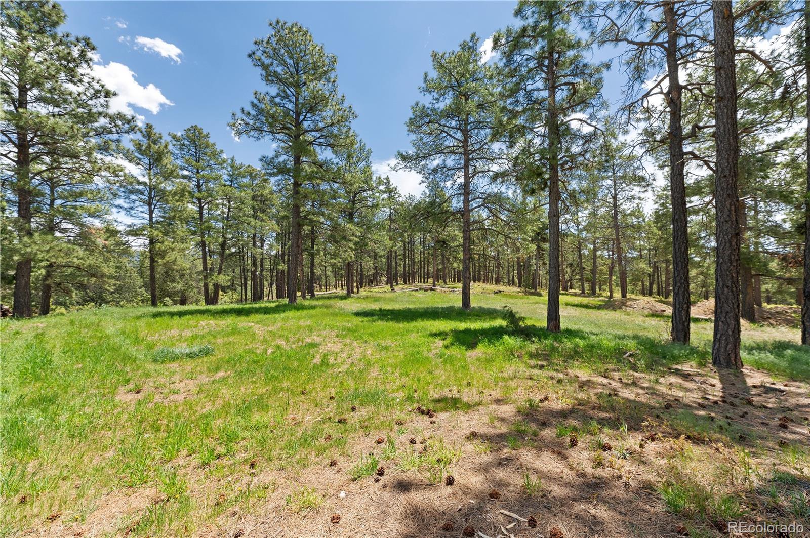 MLS Image #40 for 33002  bobcat court,trinidad, Colorado