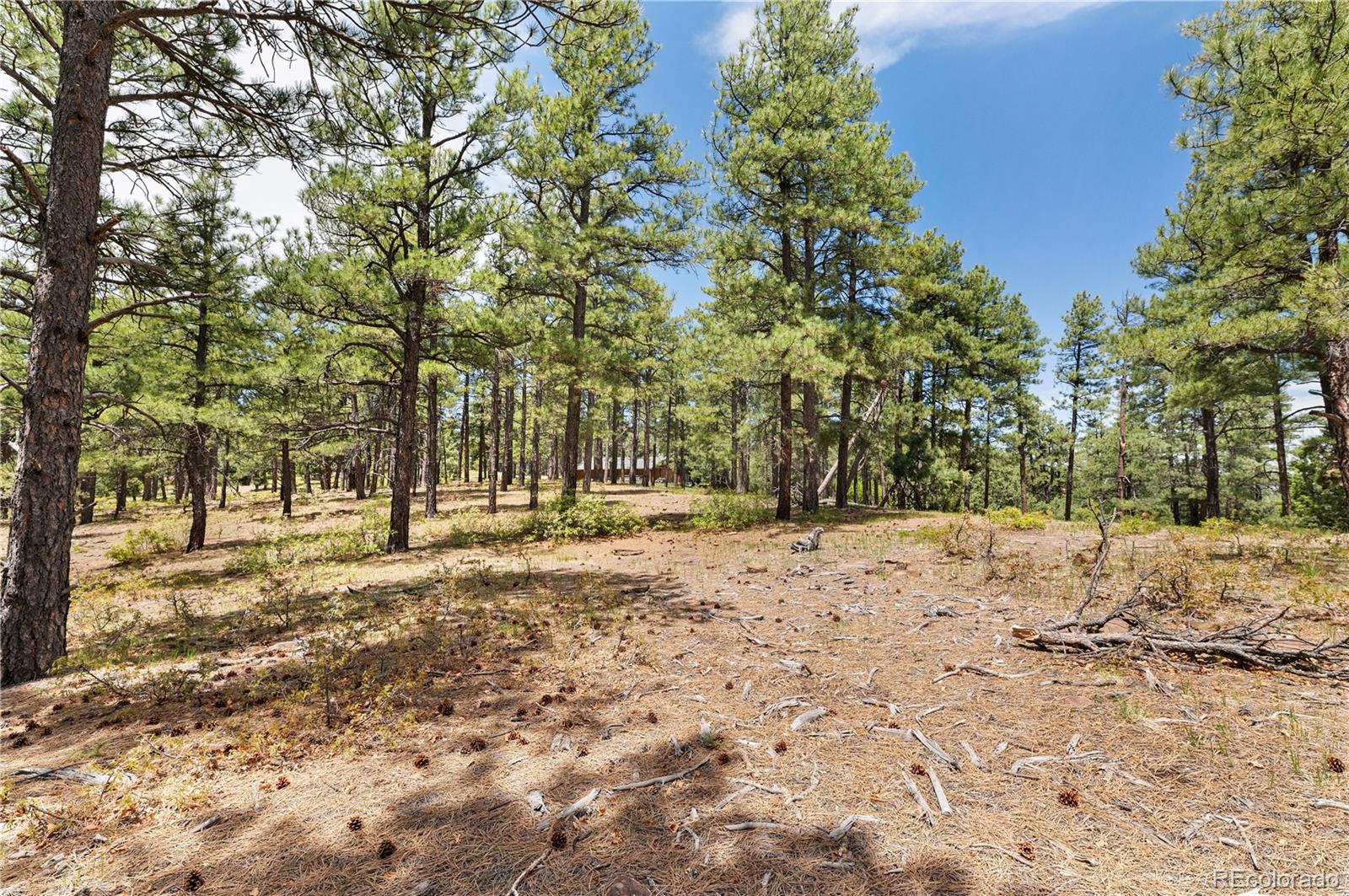 MLS Image #41 for 33002  bobcat court,trinidad, Colorado