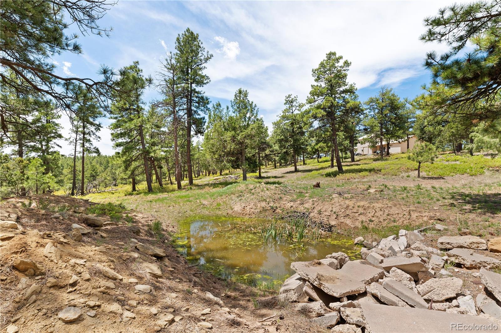 MLS Image #42 for 33002  bobcat court,trinidad, Colorado