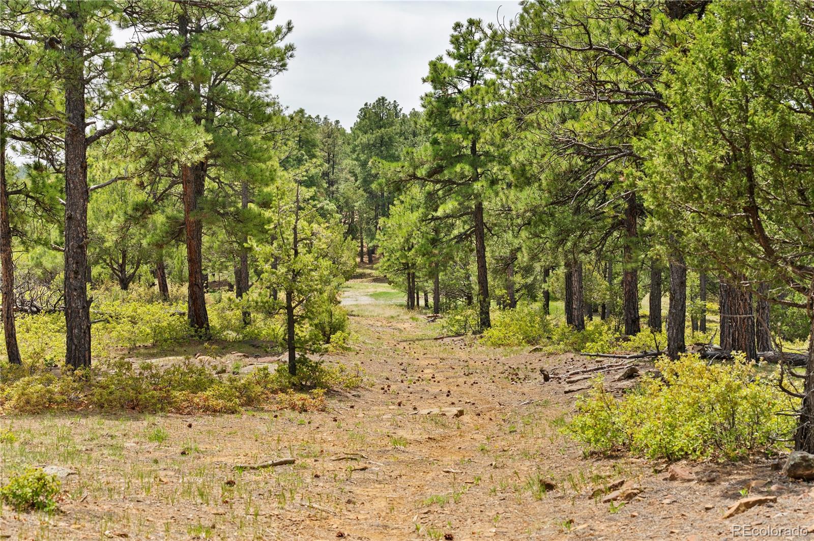 MLS Image #44 for 33002  bobcat court,trinidad, Colorado