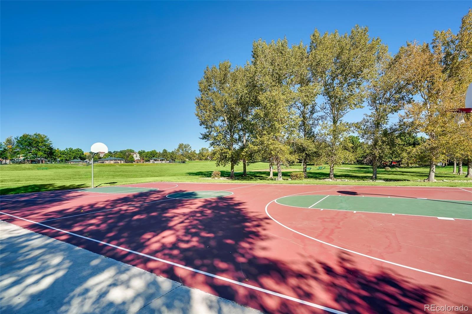 MLS Image #46 for 16200  hedgeway drive,parker, Colorado