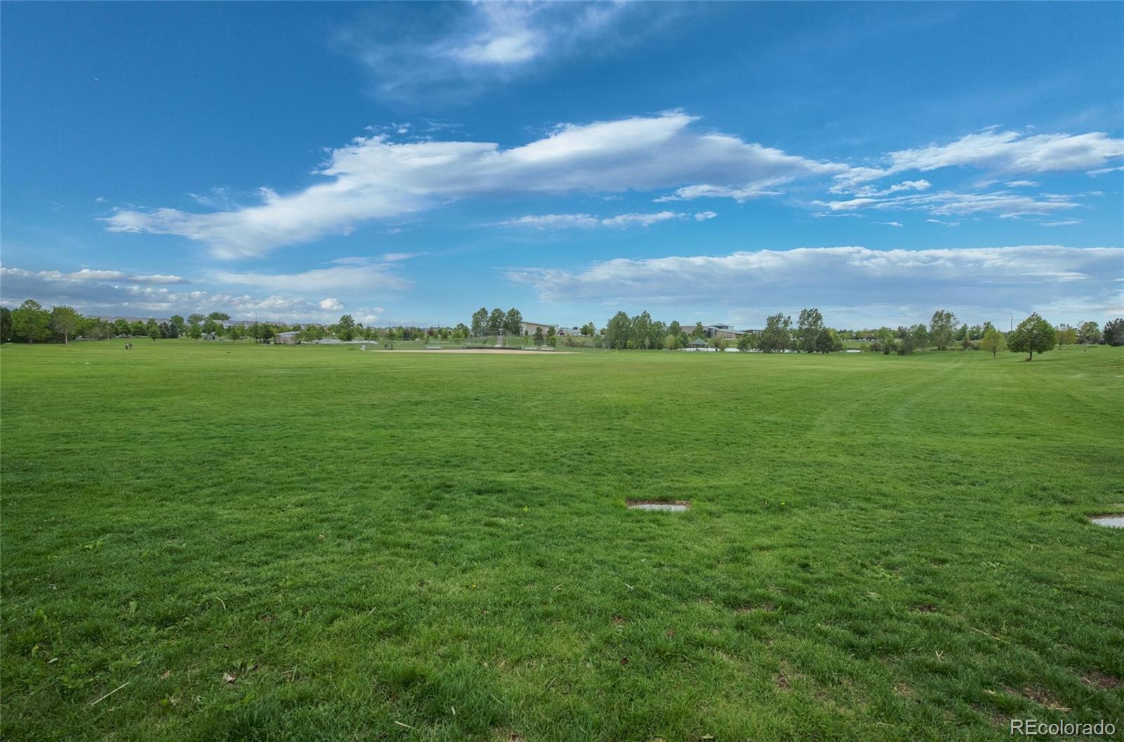 MLS Image #29 for 18619 e 50th place,denver, Colorado