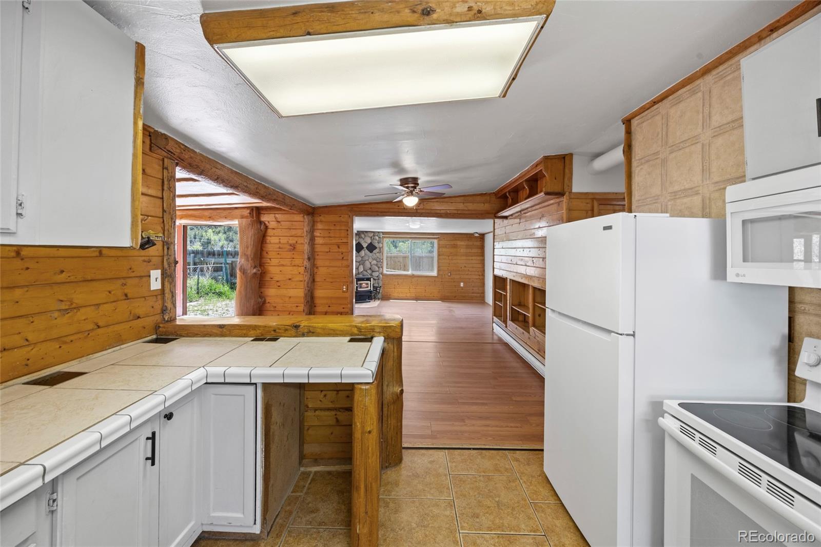 MLS Image #4 for 209  county road 308 ,dumont, Colorado