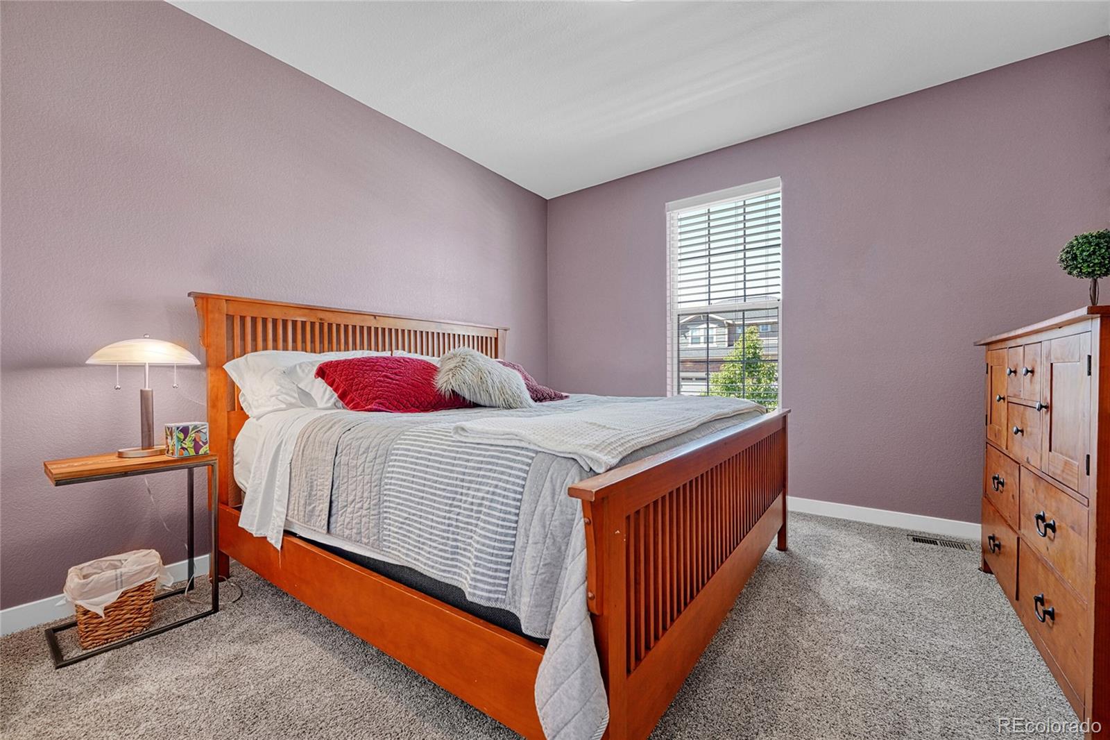 MLS Image #14 for 16043  azalea avenue,parker, Colorado