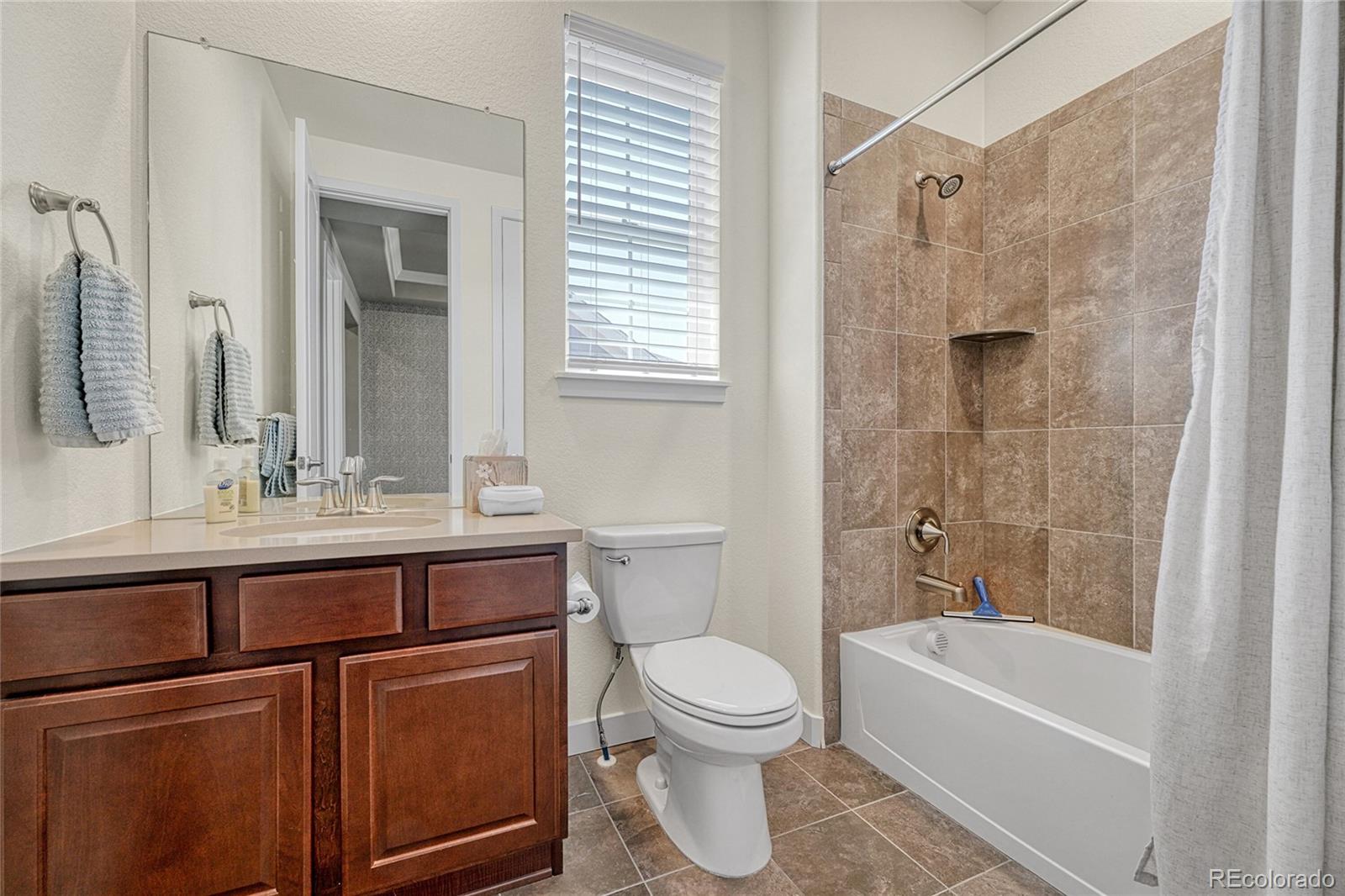 MLS Image #16 for 16043  azalea avenue,parker, Colorado